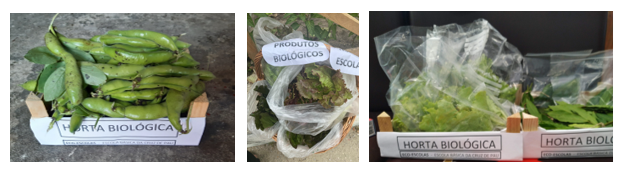 Venda de produtos biológicos à Comunidade Educativa.