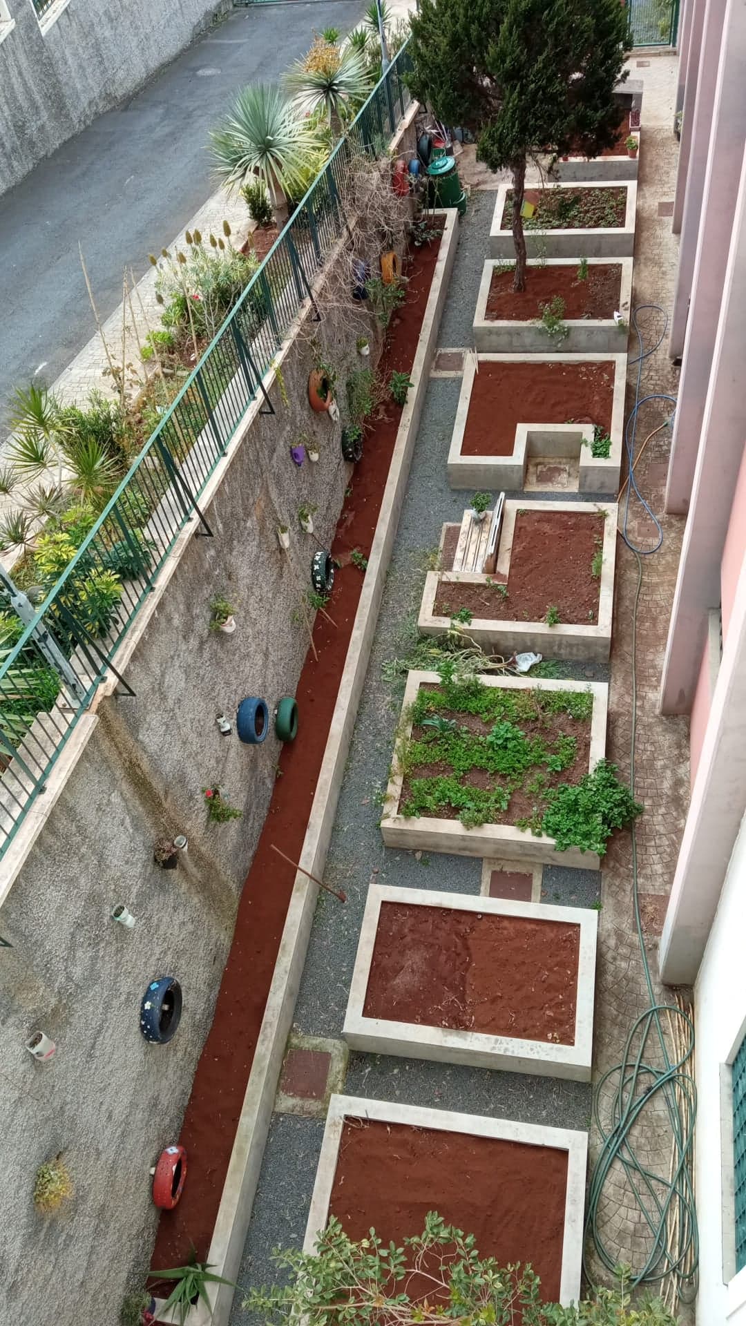 Vista geral da Horta Bio no mês de março.