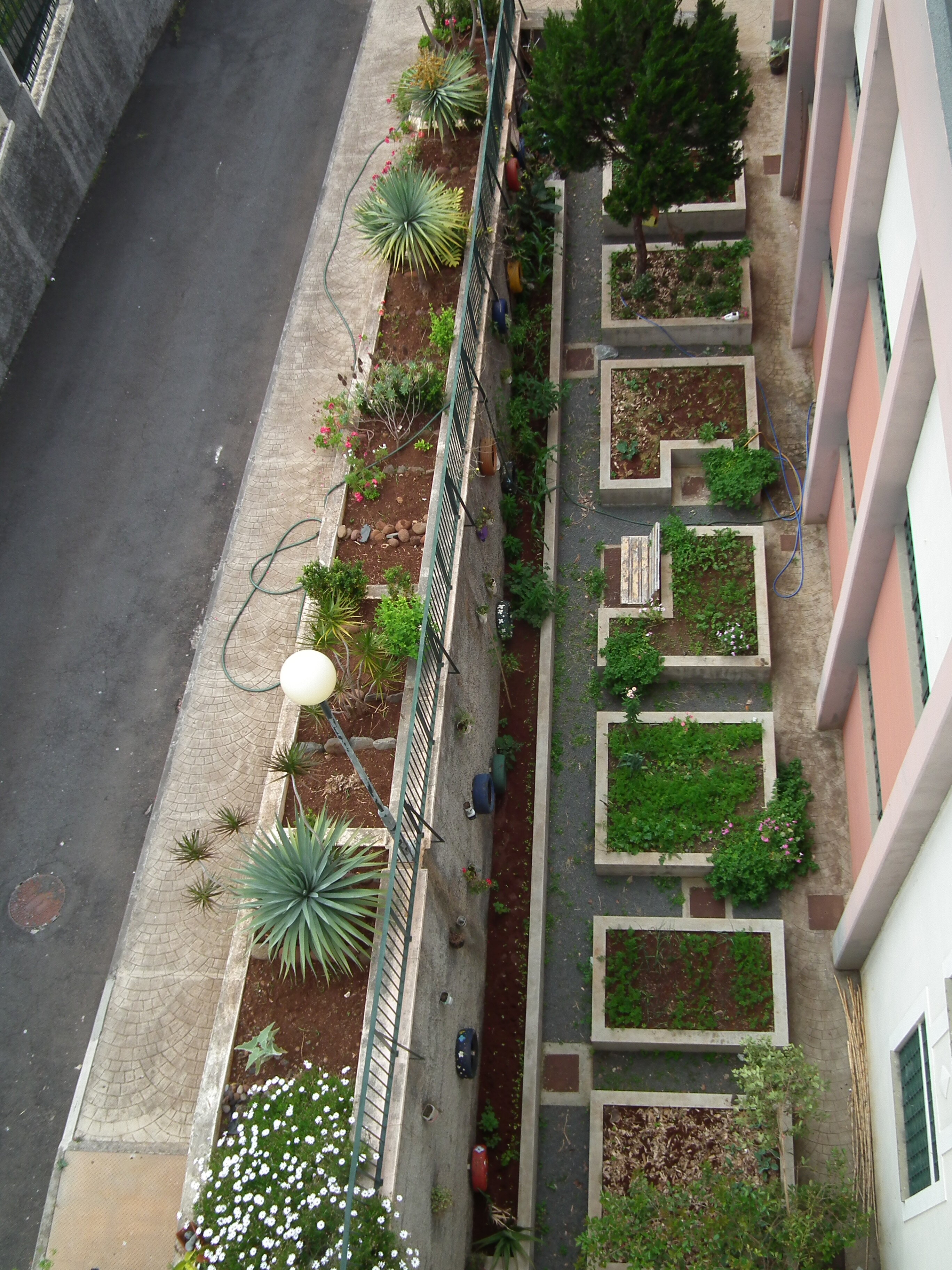 Vista geral da Horta Bio mais o canteiro de plantas nativas.