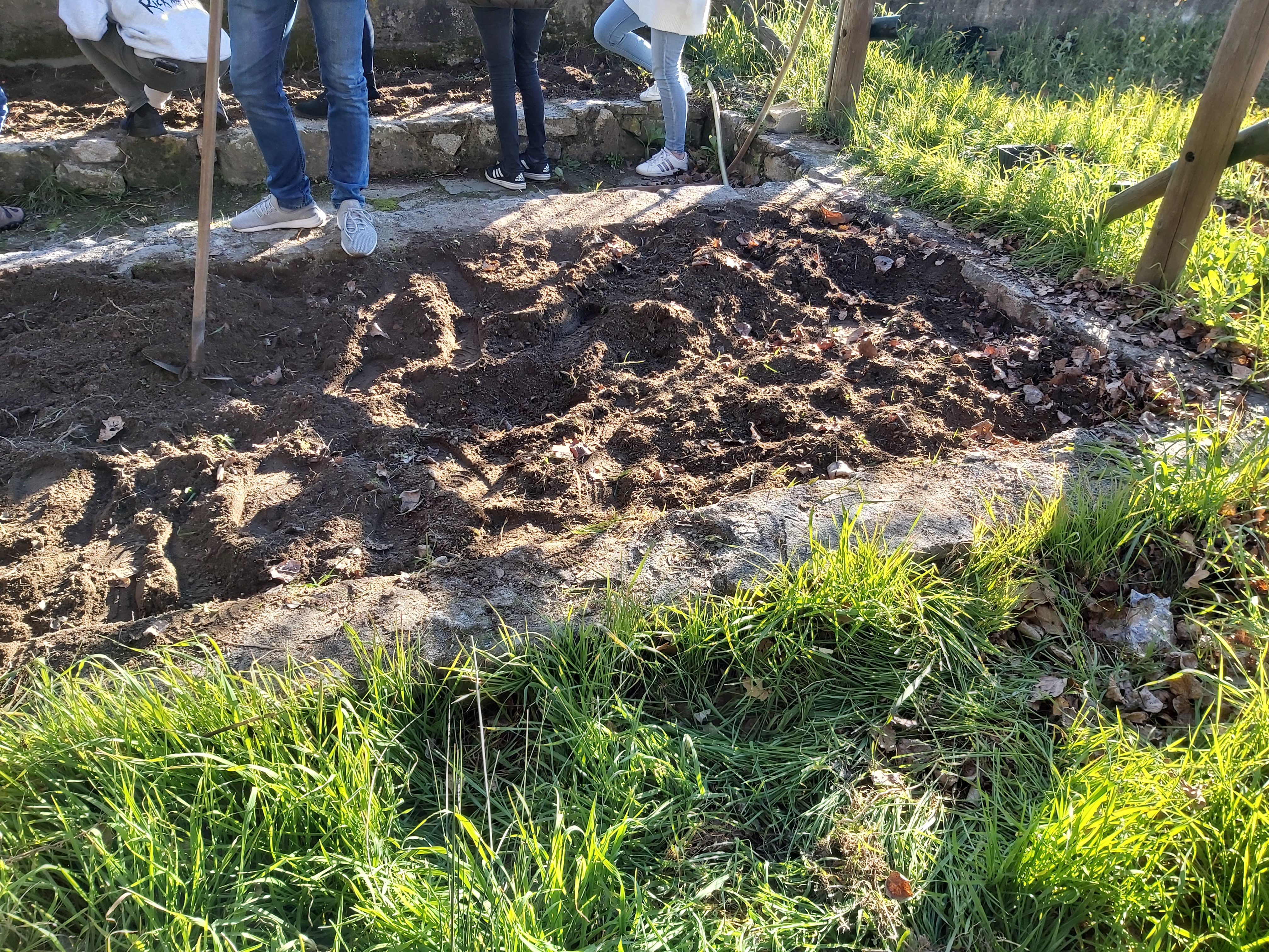 preparar a terra