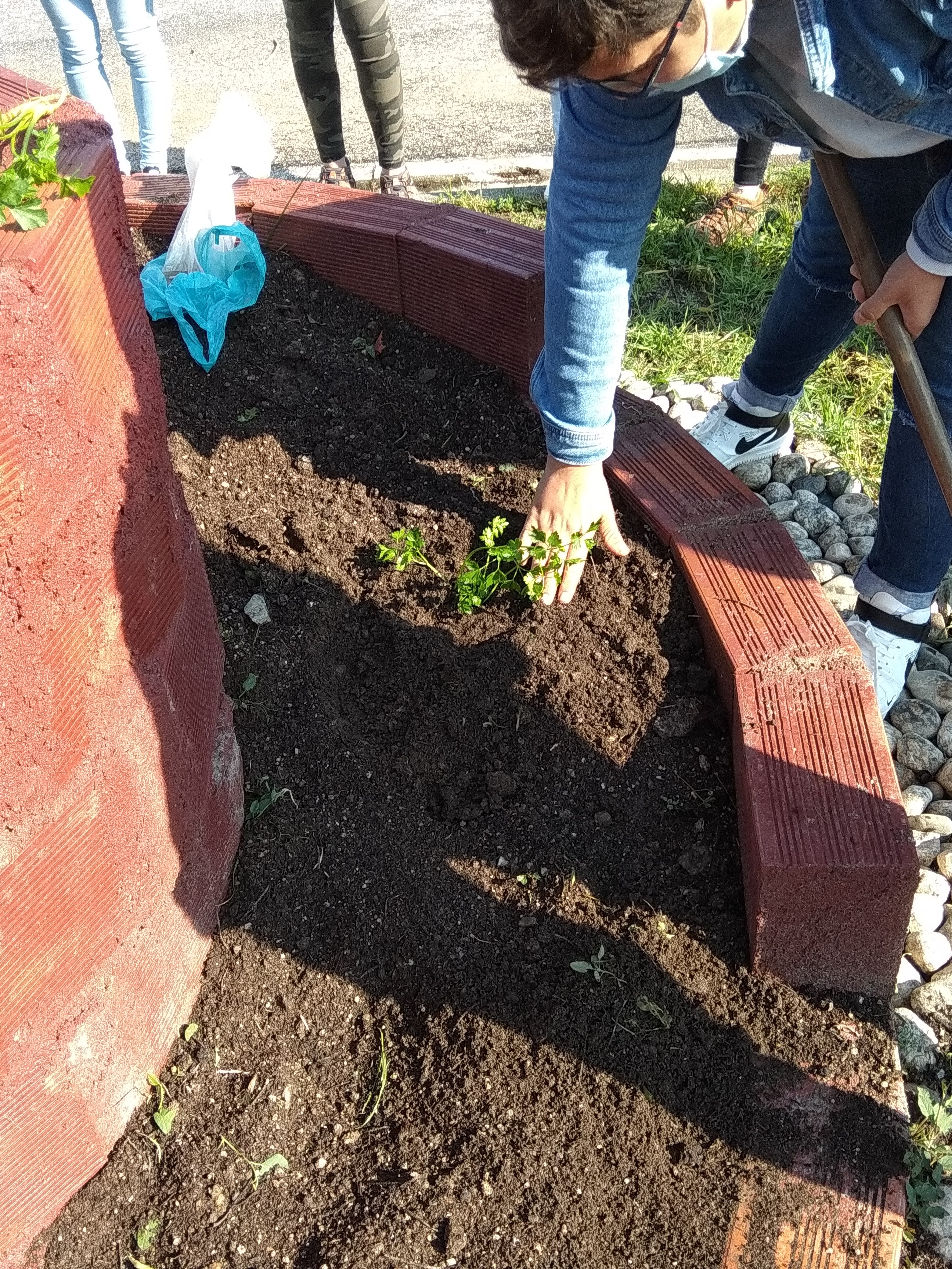 plantação e espiral