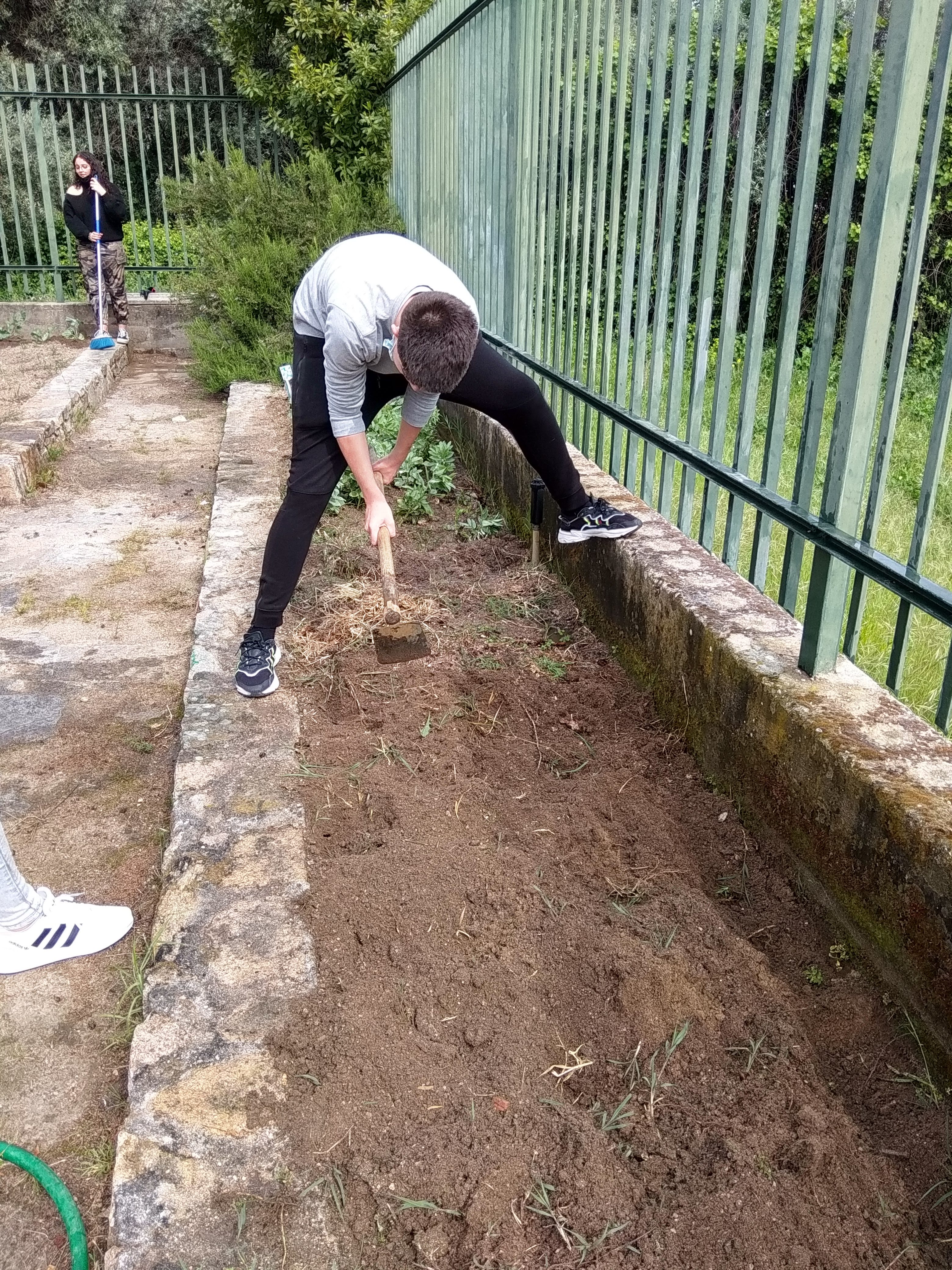 plantação e espiral