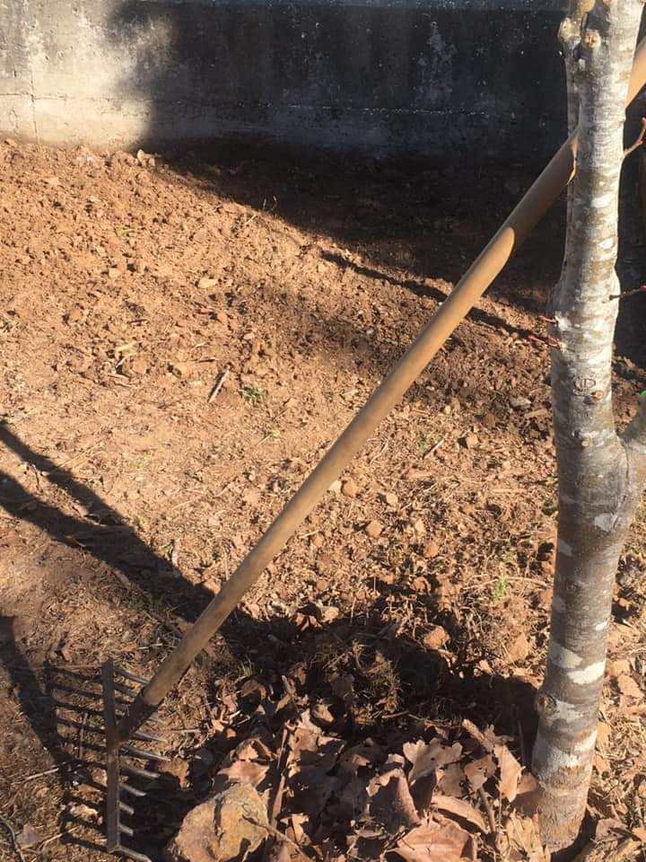 Preparação do terreno