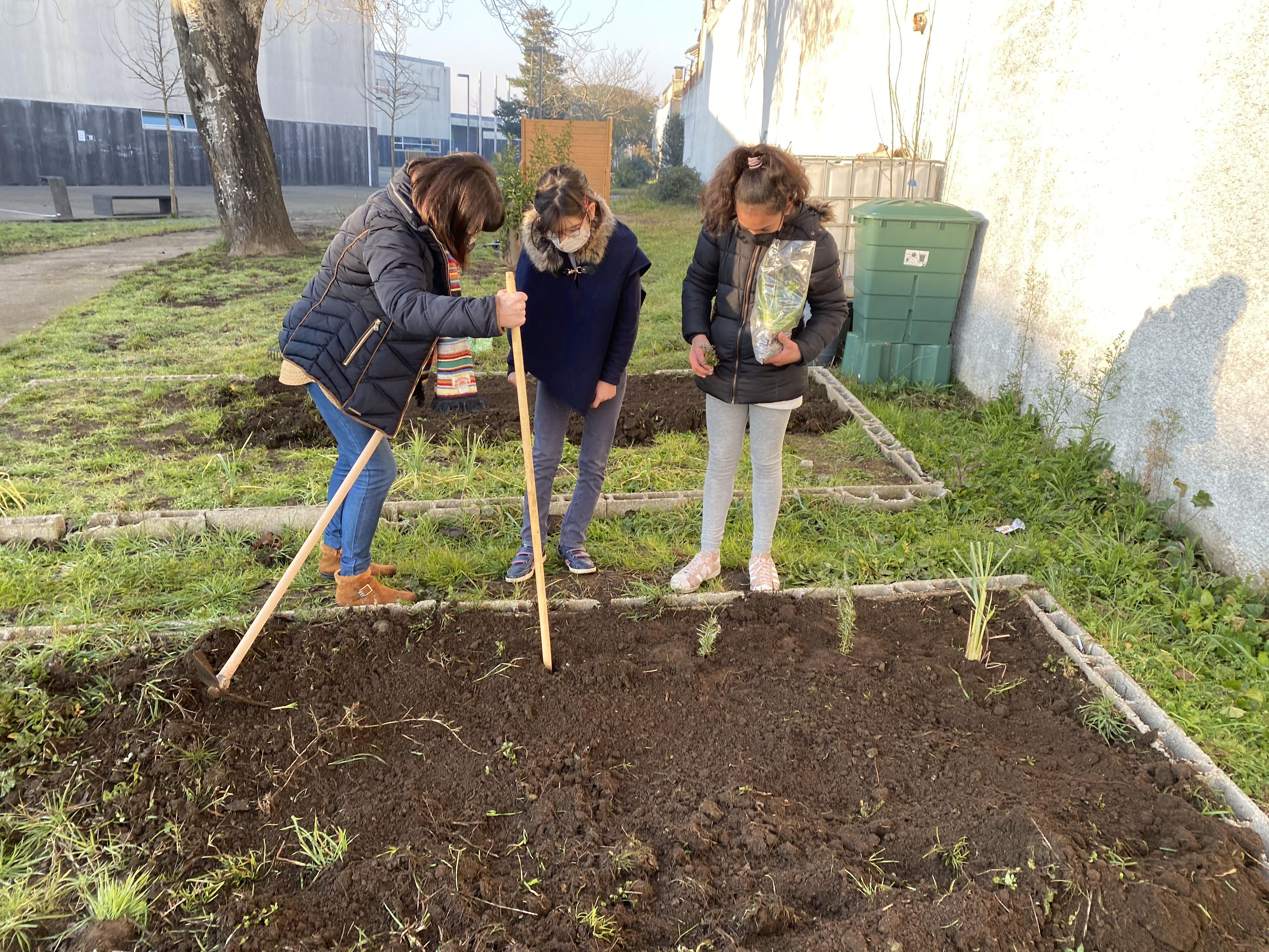Vamos à horta!