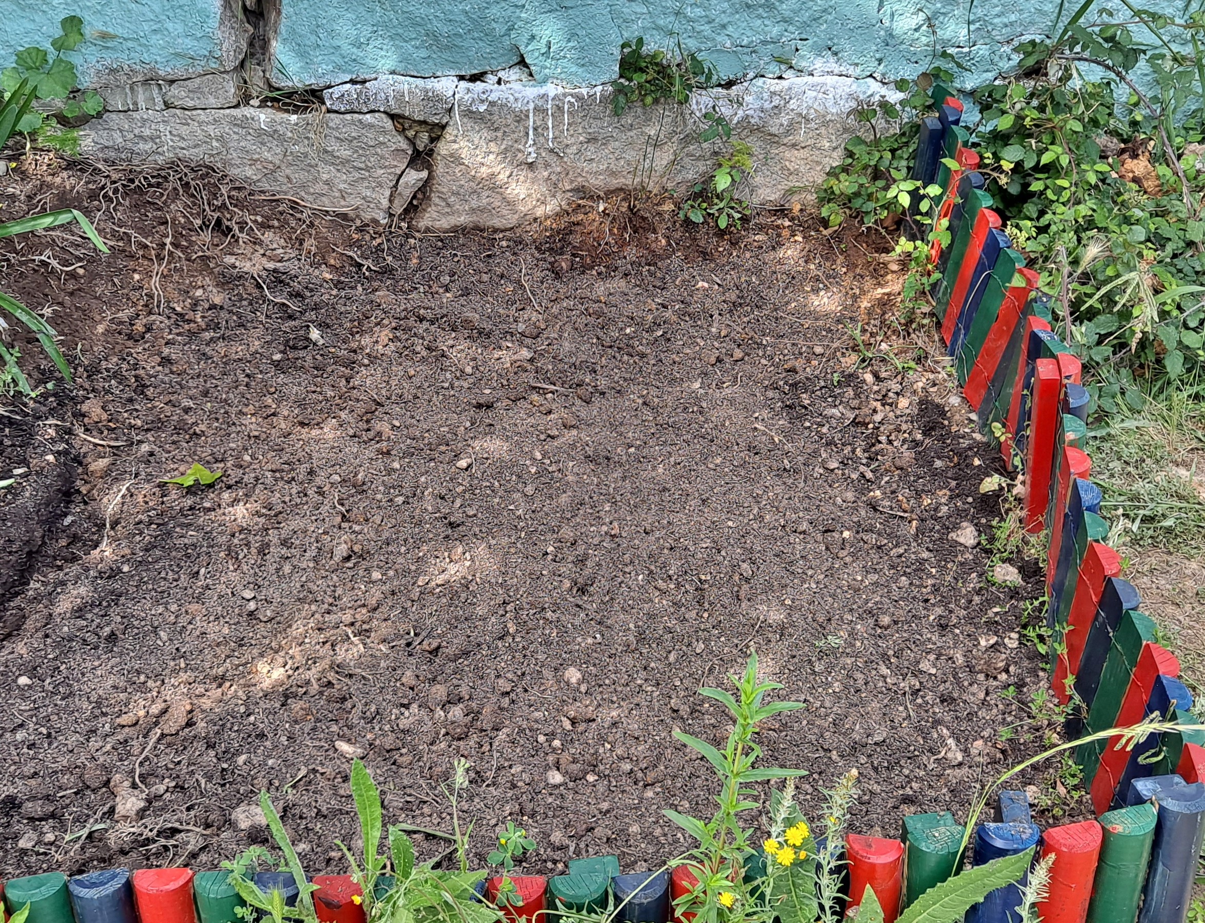 Foto 6 - Os alunos de 4.º ano, da turma 25, estiveram a limpar a horta e já está preparada para plantar os feijoeiros, a rúcula, tomateiros, cenoura, batata e alface.
