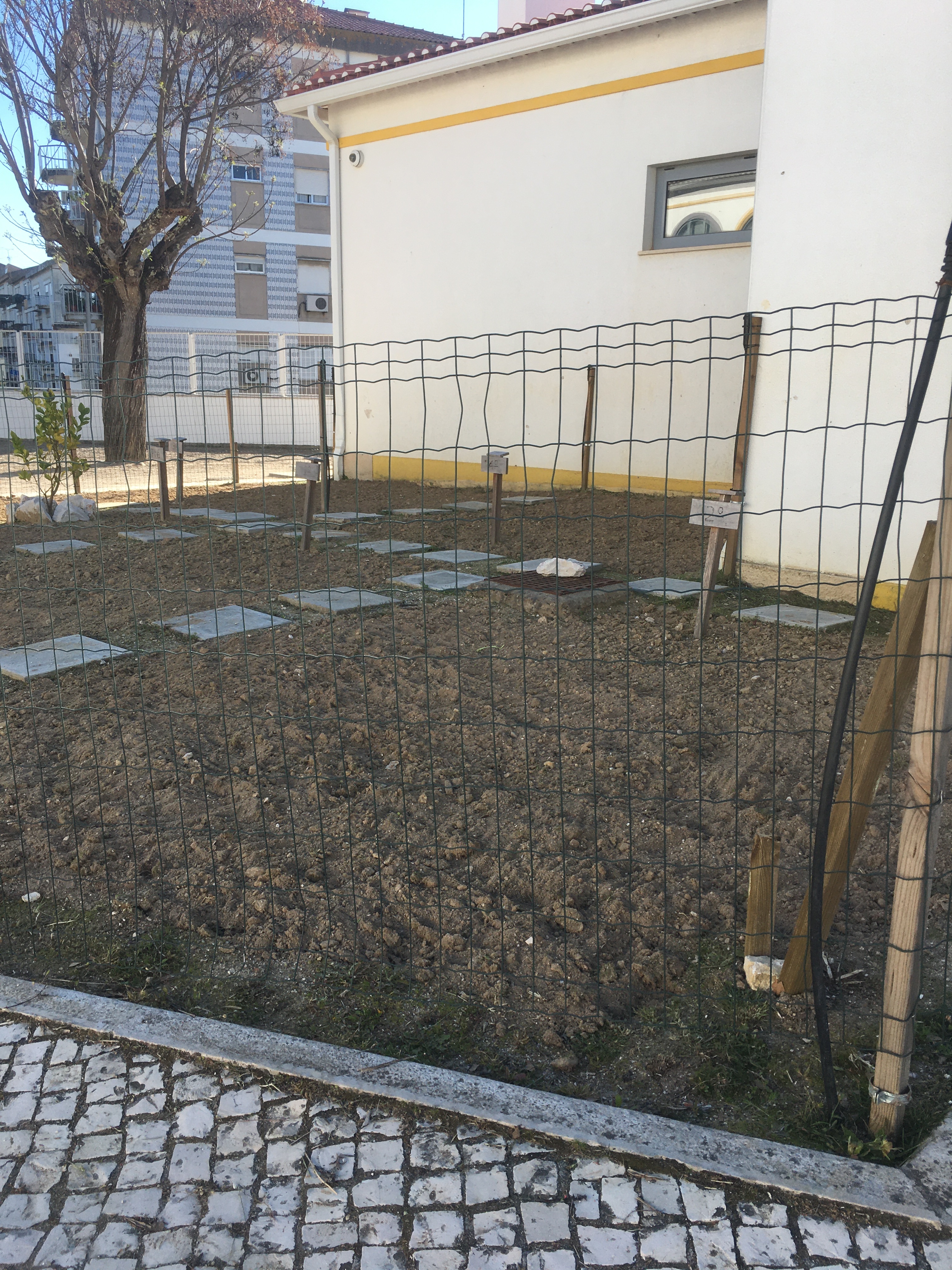 Preparação do terreno da horta já existente para as novas plantações.