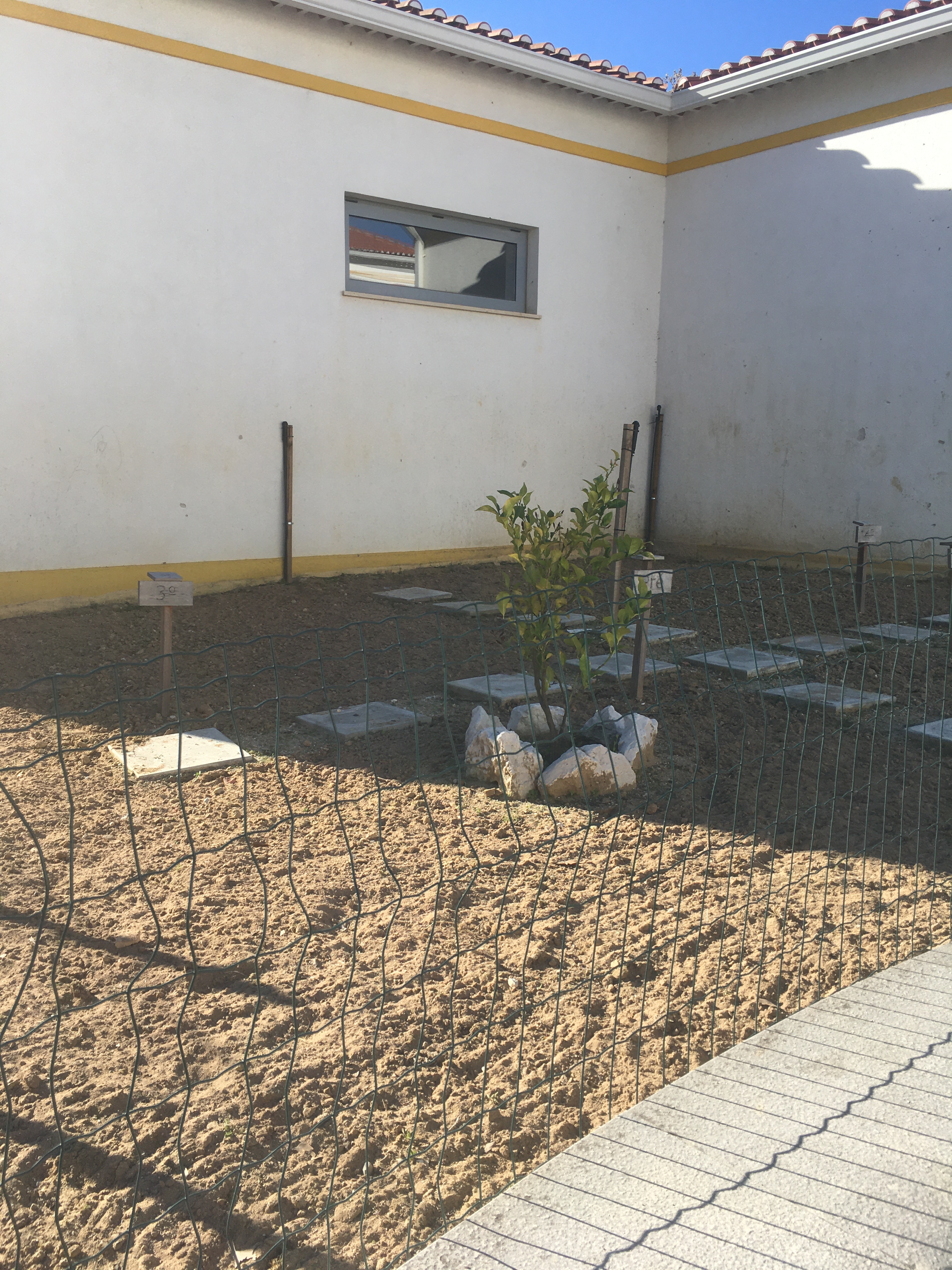 Preparação do terreno da horta já existente para as novas plantações.