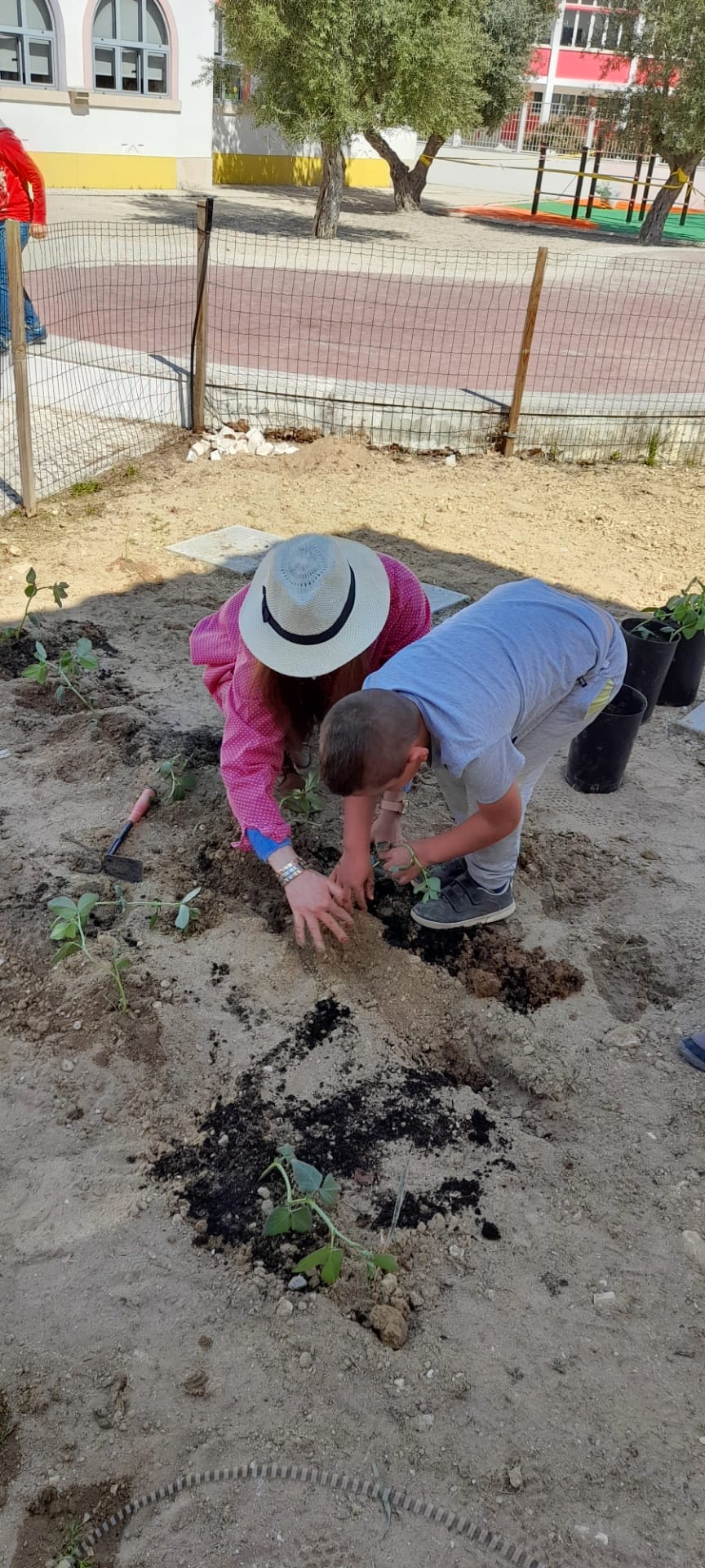 Primeiras plantações.