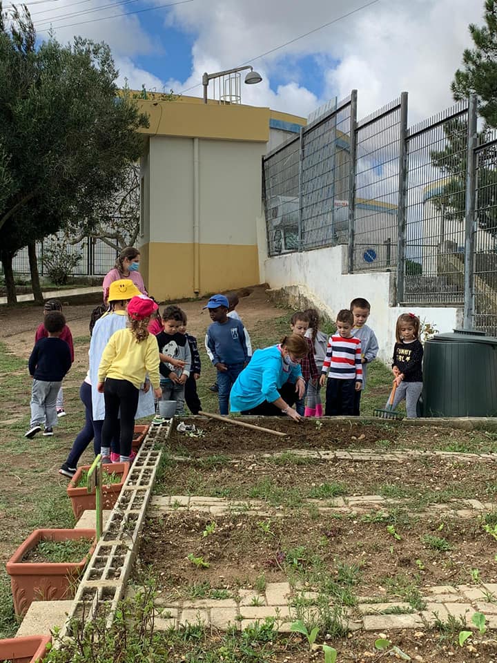 Plantação de couves e alecrim.