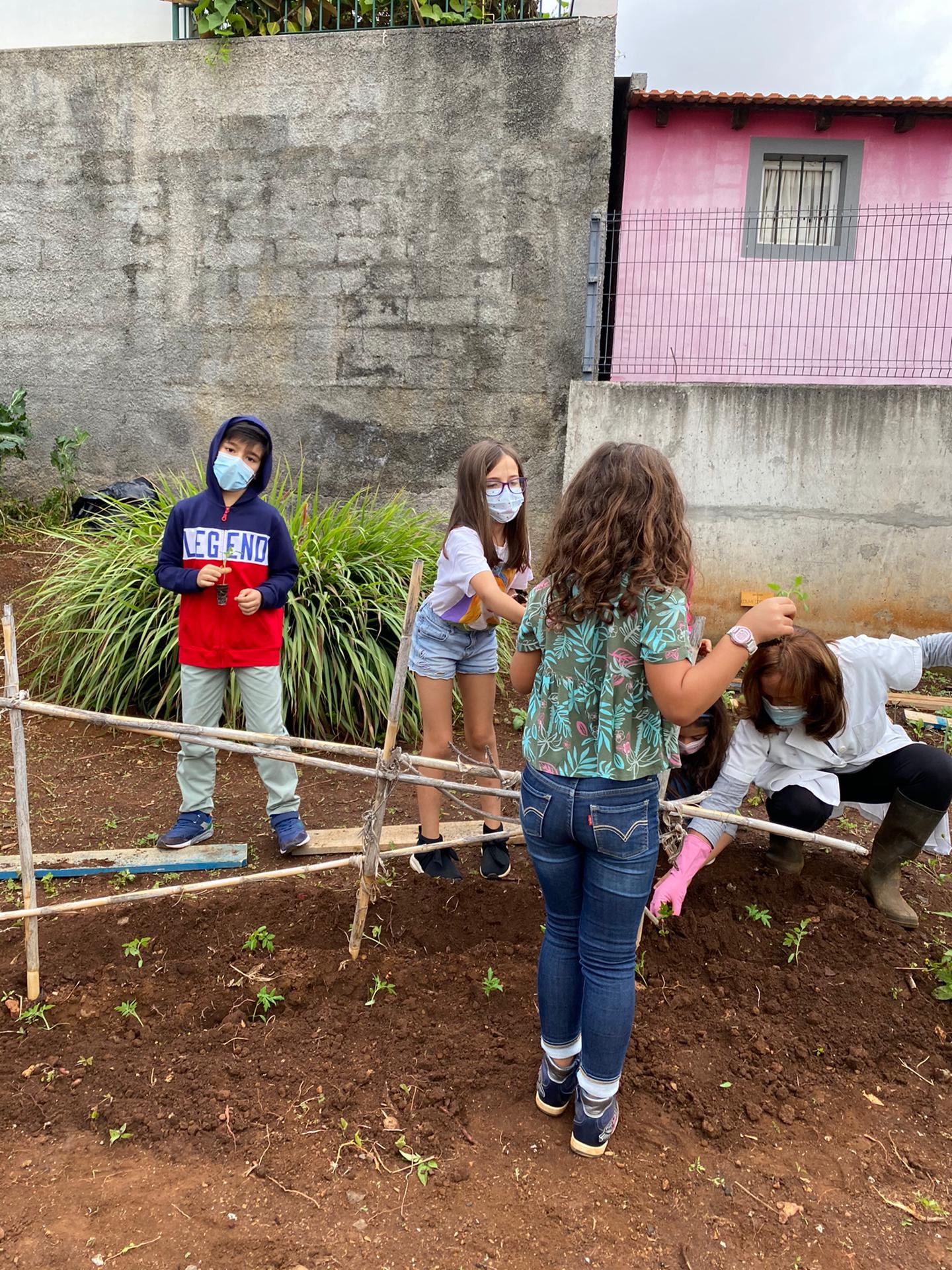 Mãos à obra!