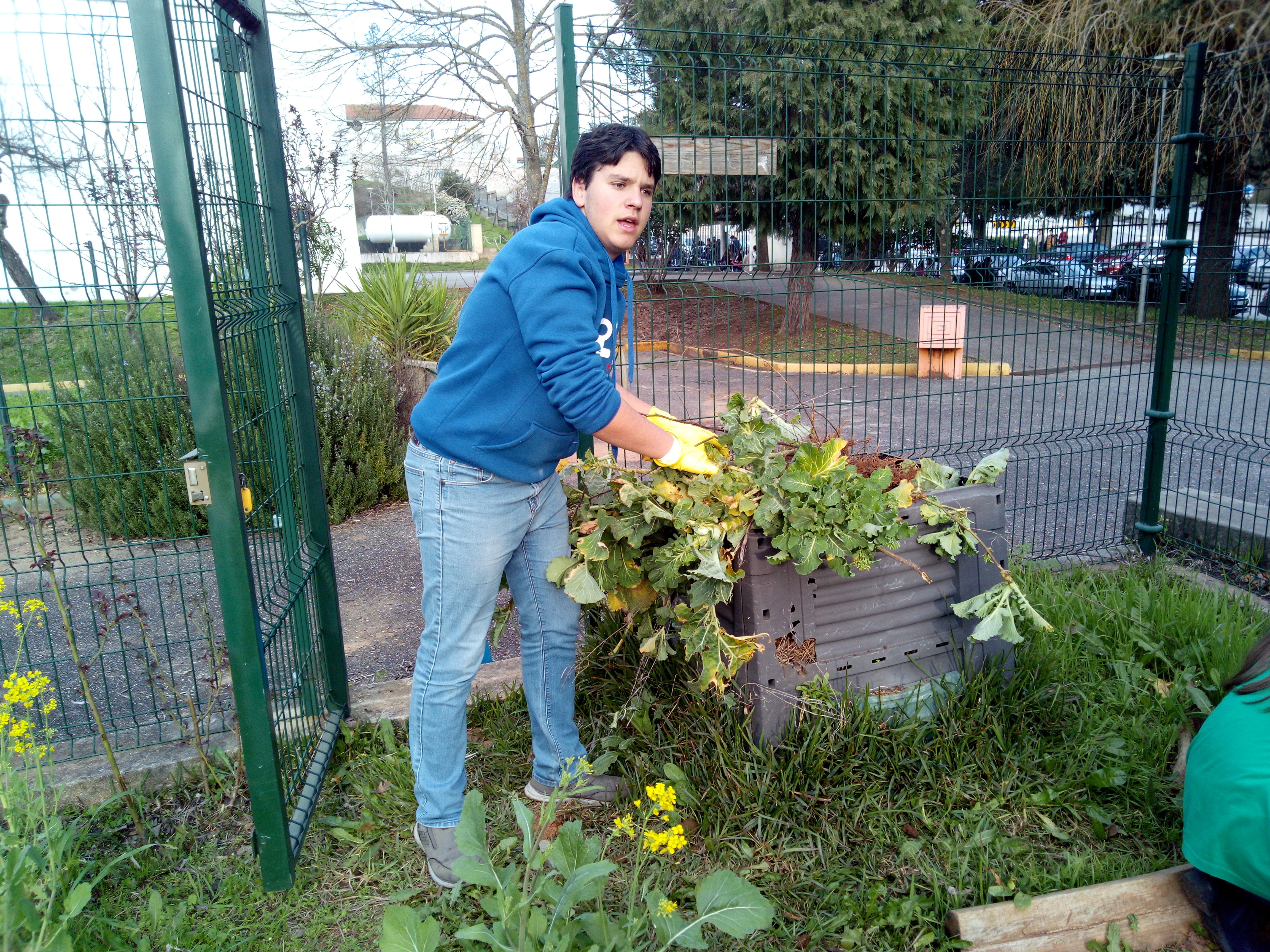 Depositando para compostagem.