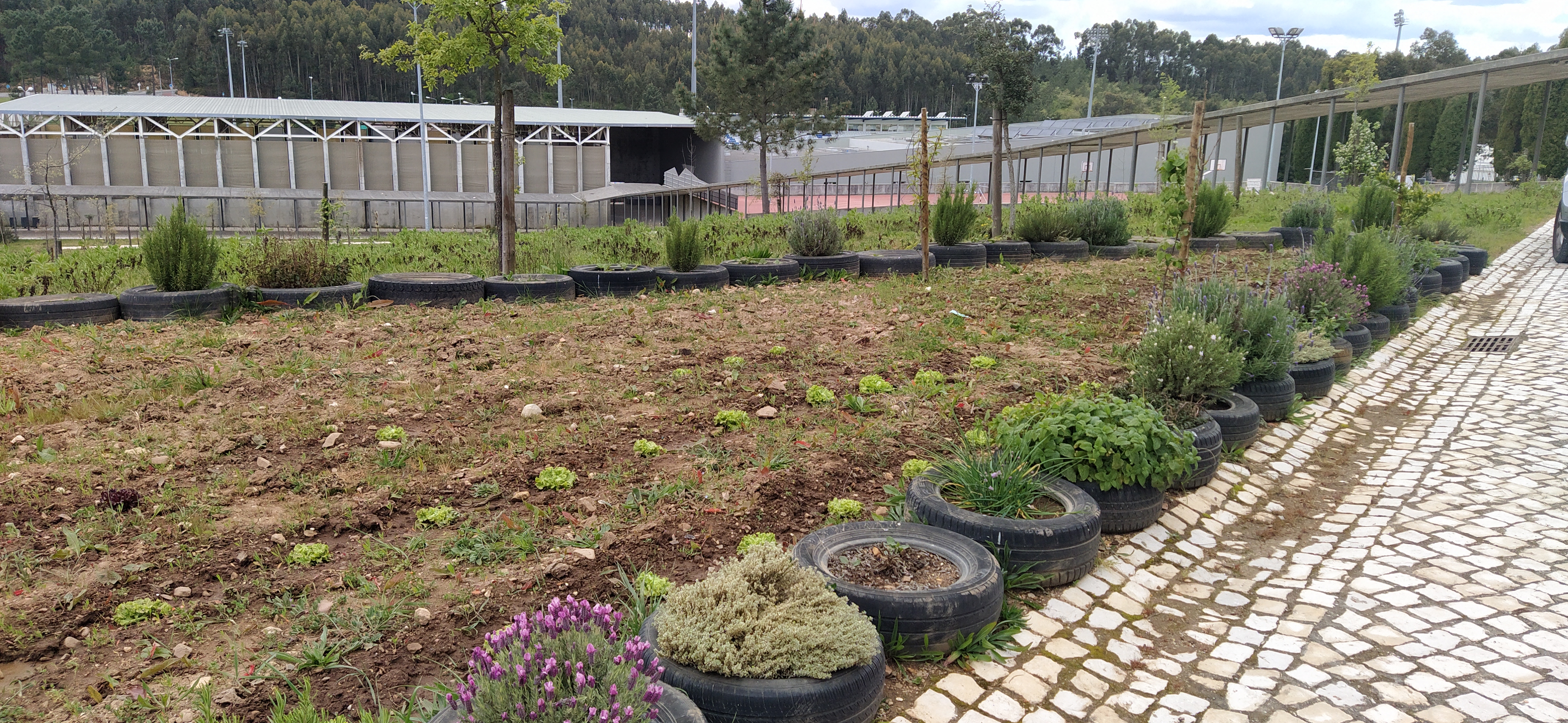 Vista geral da zona de hortícolas, em março