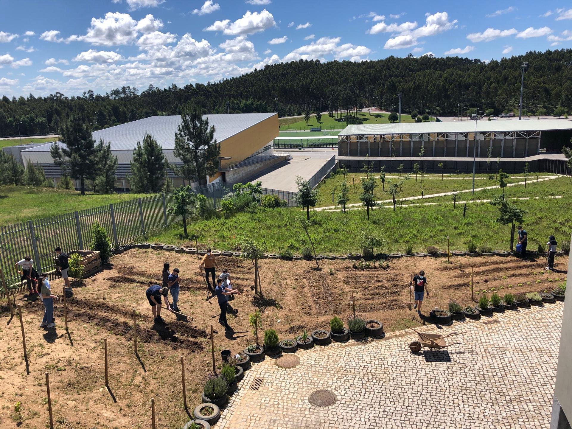 Preparação do terreno e plantio de hortícolas em abril