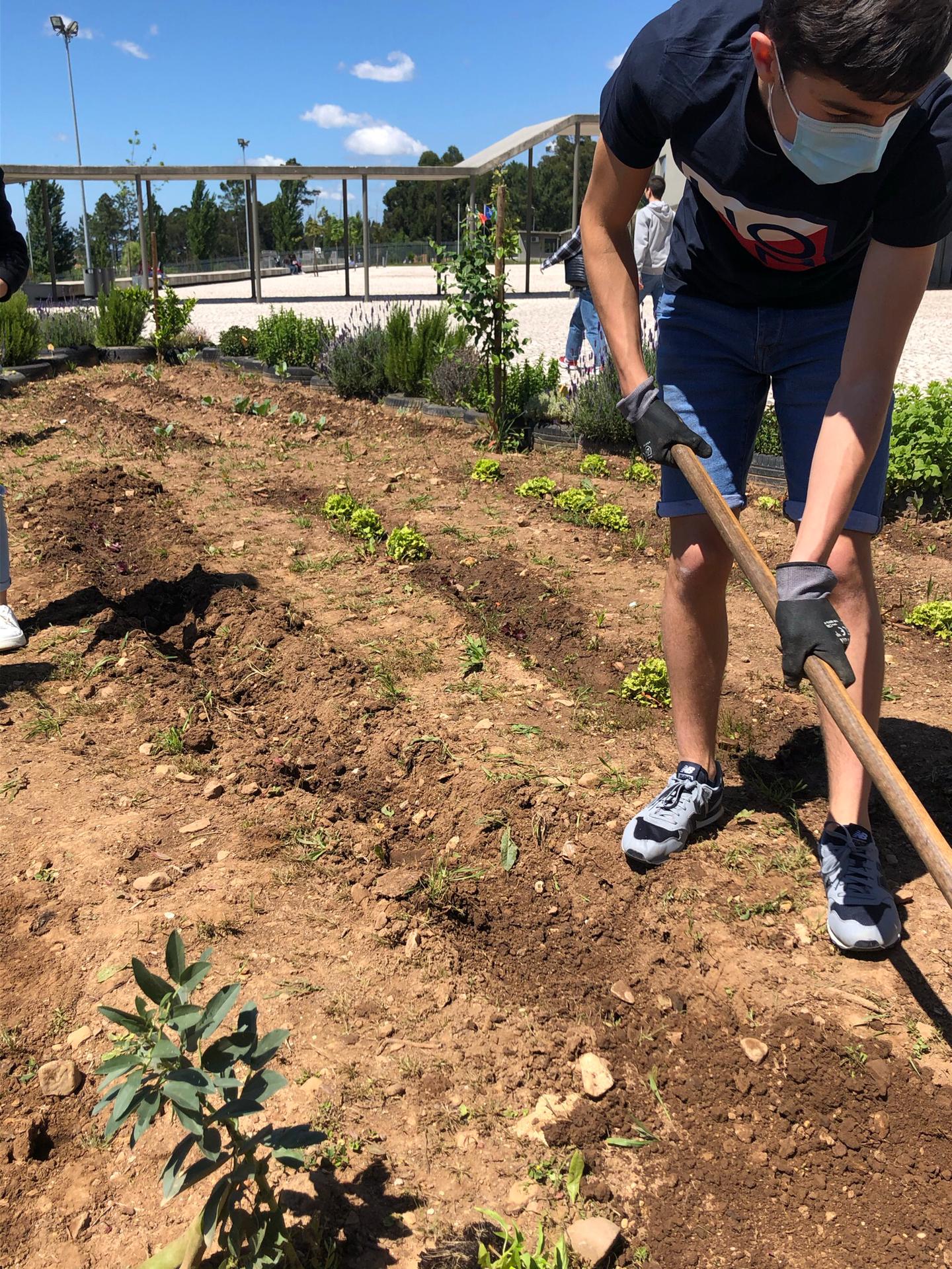 Preparação do terreno e plantio de hortícolas em abril