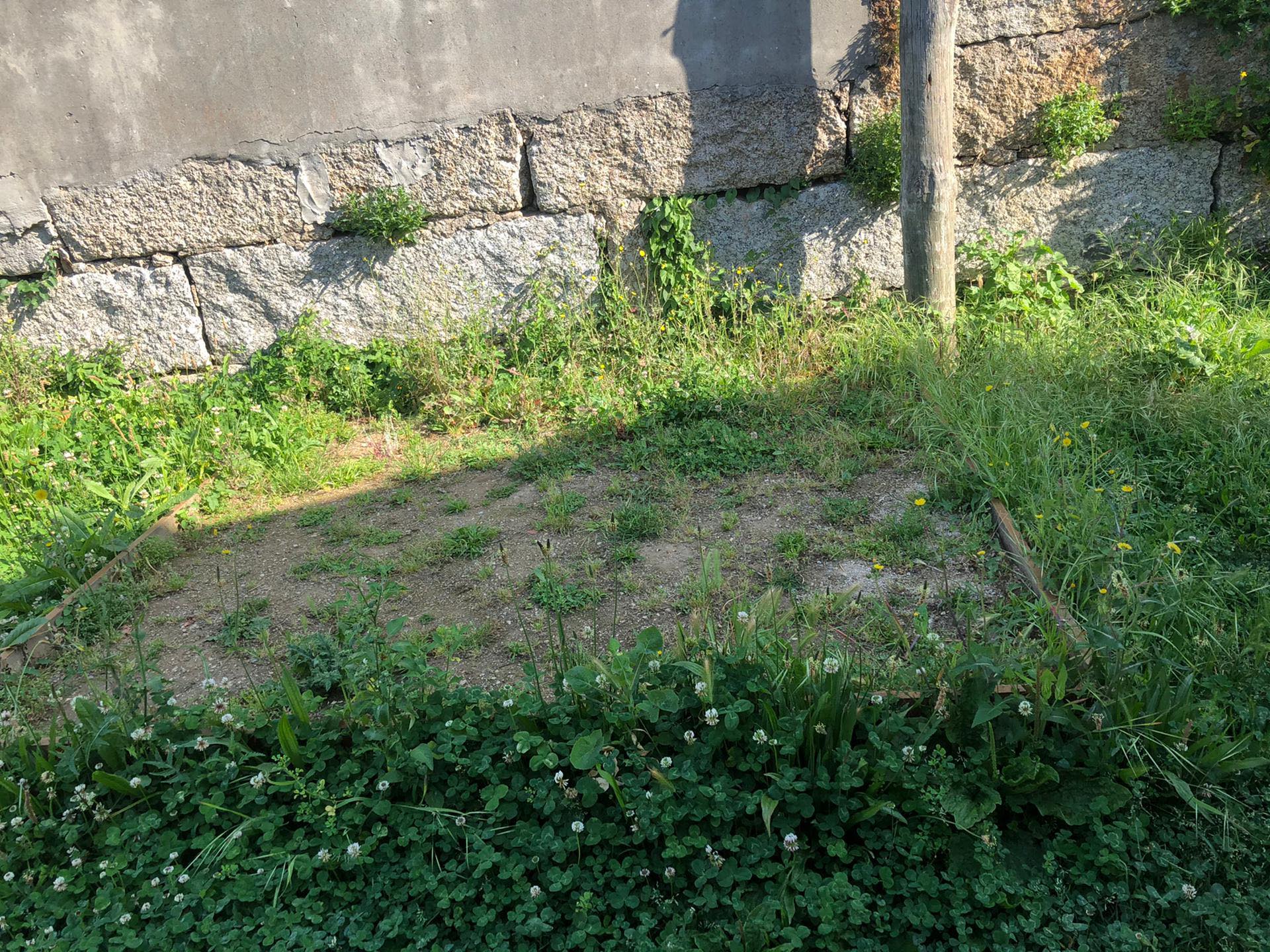 Antes da limpeza dos Canteiros