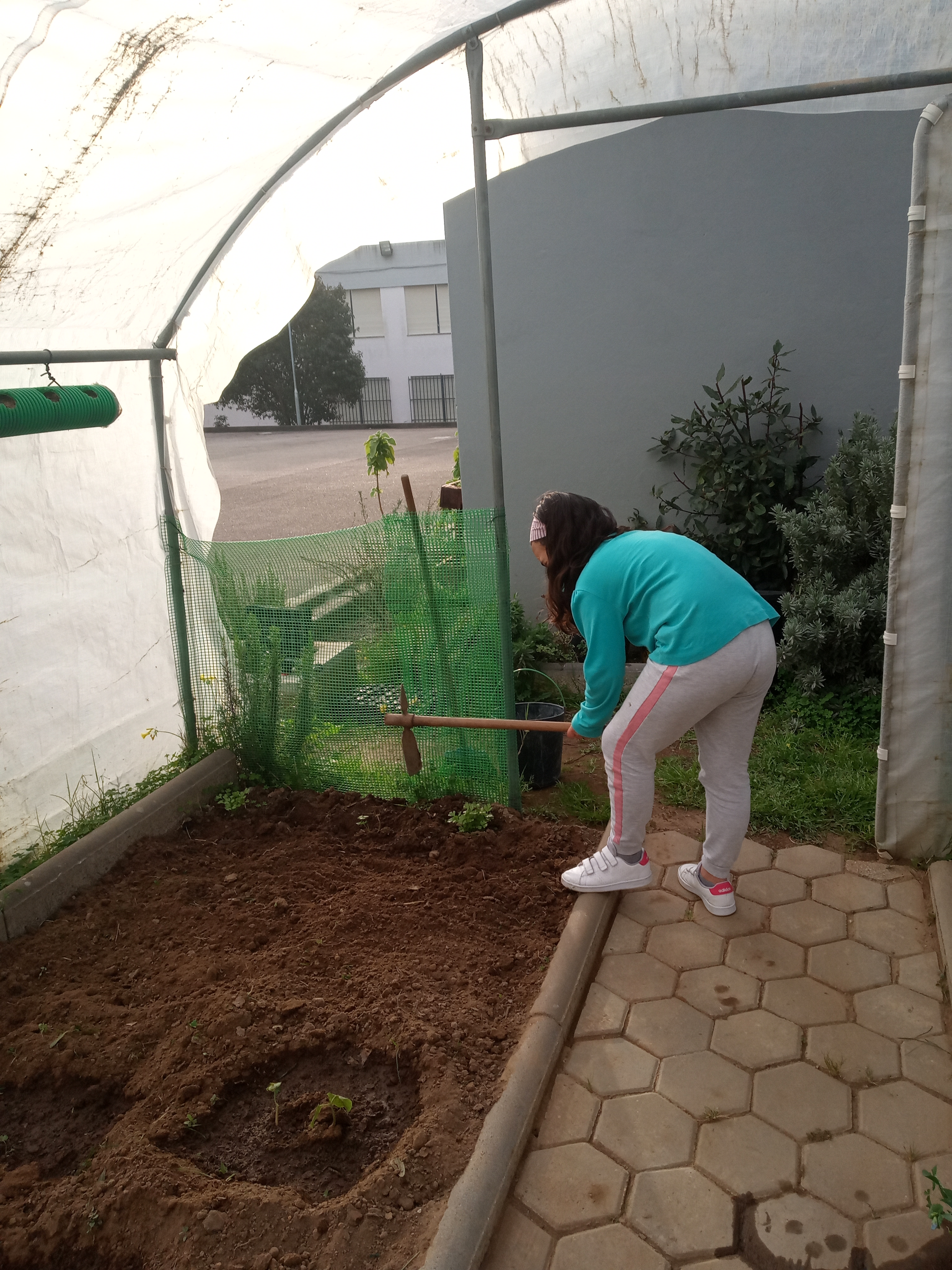 Preparação do solo para plantação das mudas
