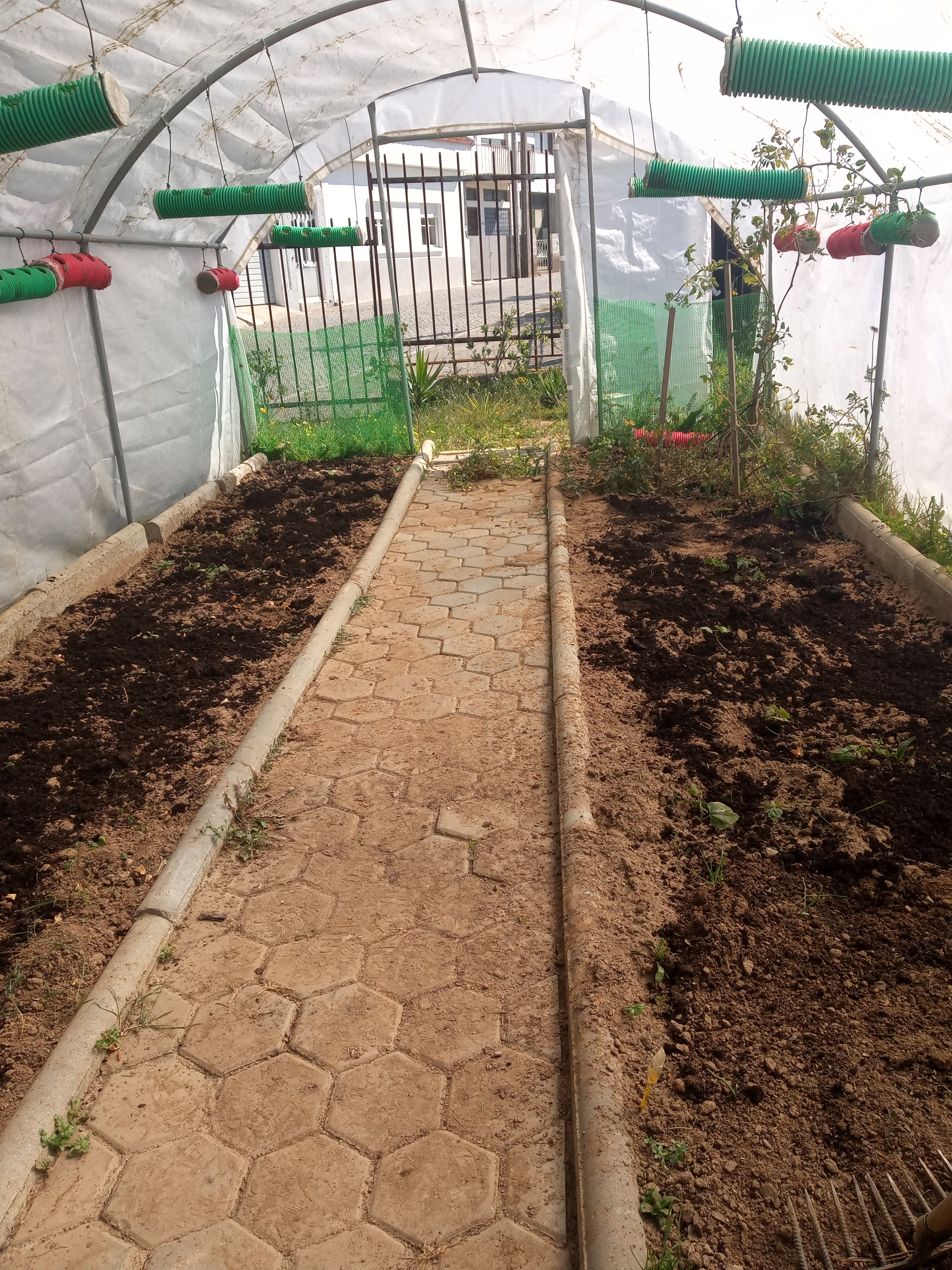 Fertilização do solo com composto biológico
