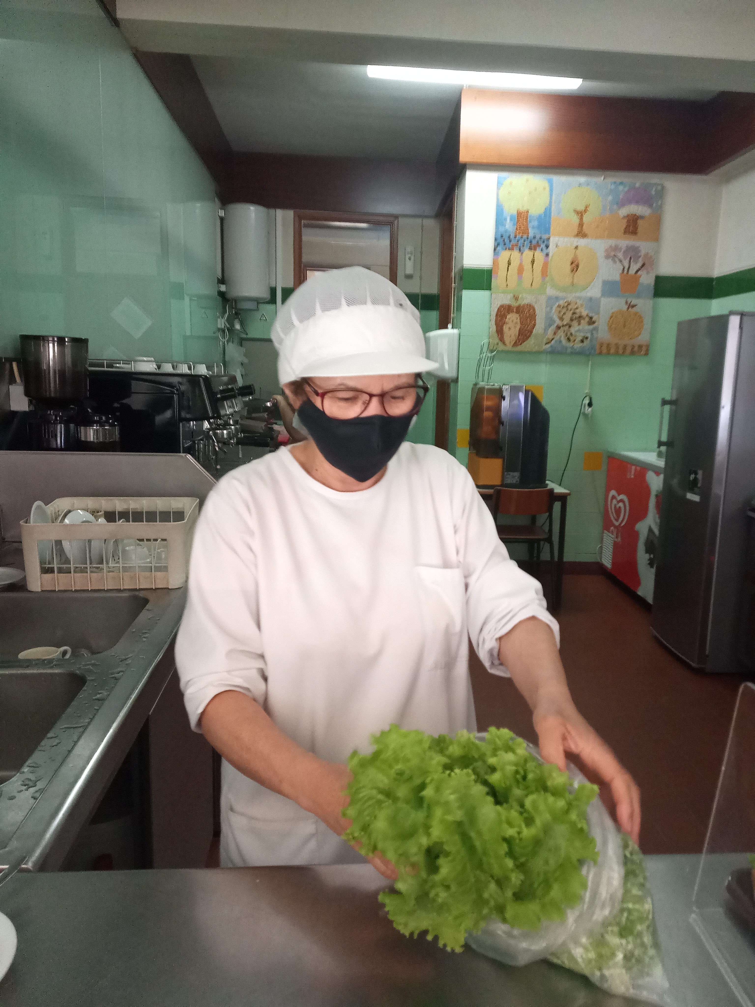 Oferta de alfaces da horta ao Bar da nossa escola para preparação de sandes