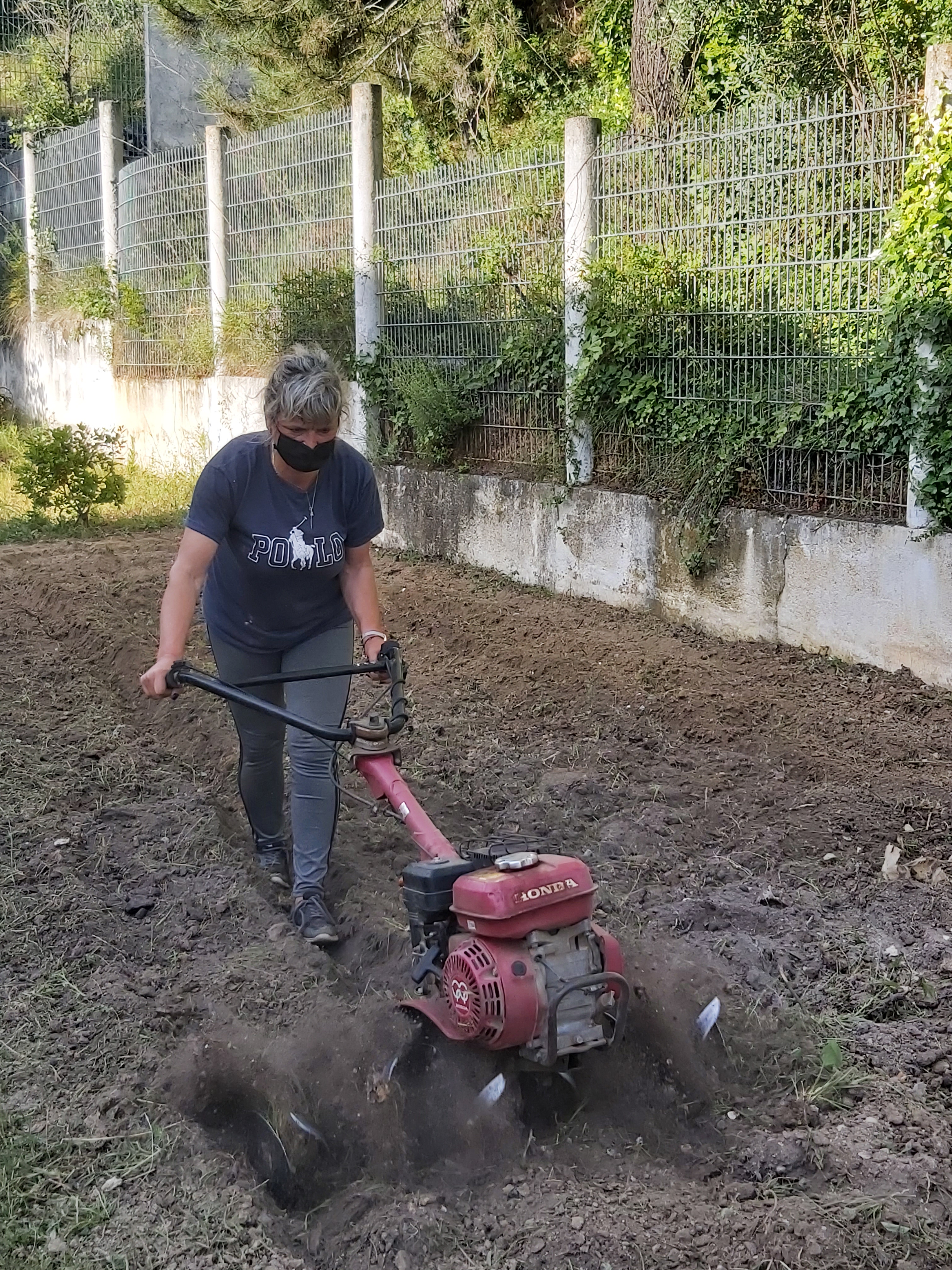 Mobilização do solo da horta bio