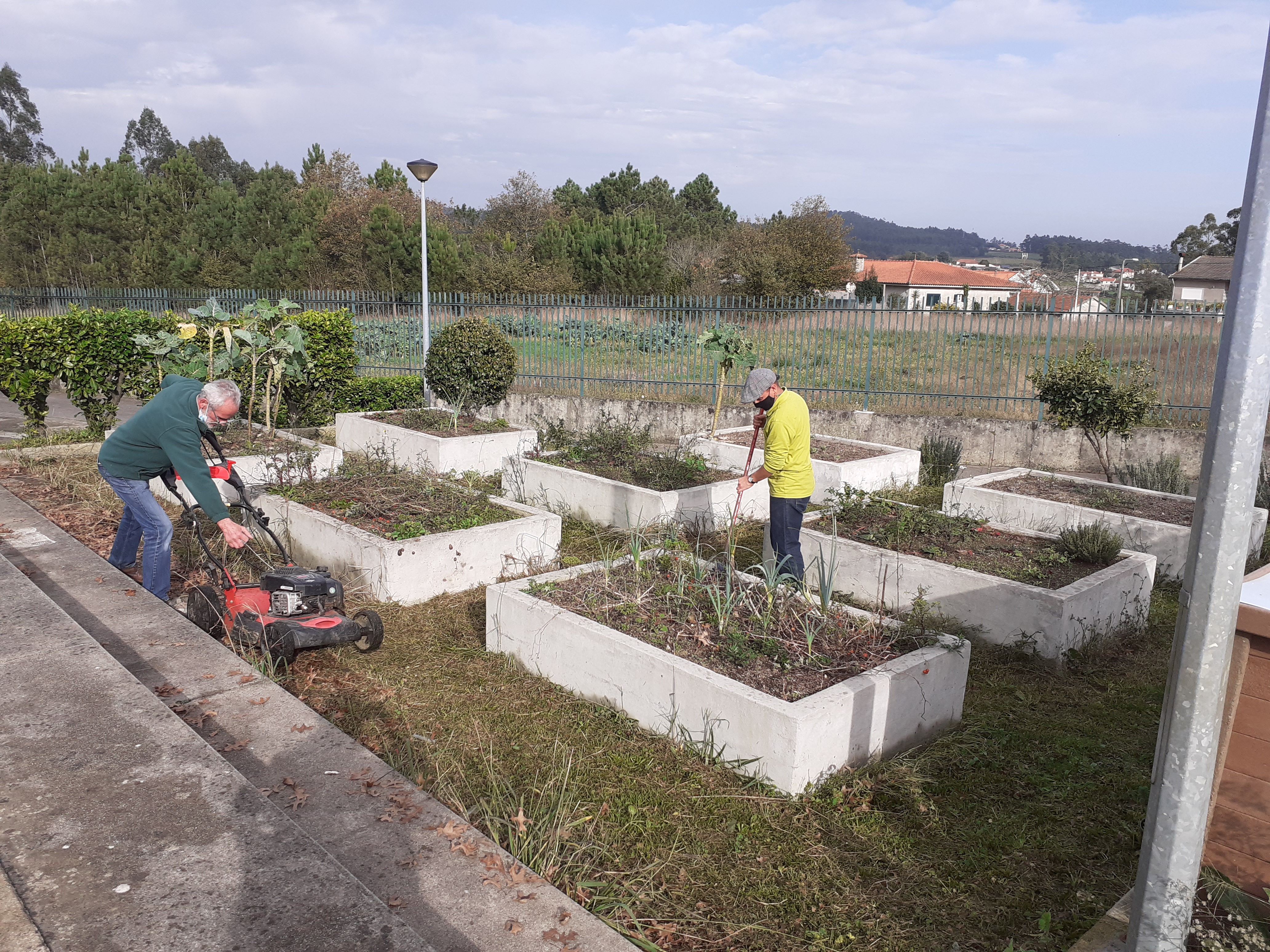 Trabalho de limpeza da horta realizado pelo pessoal não docente