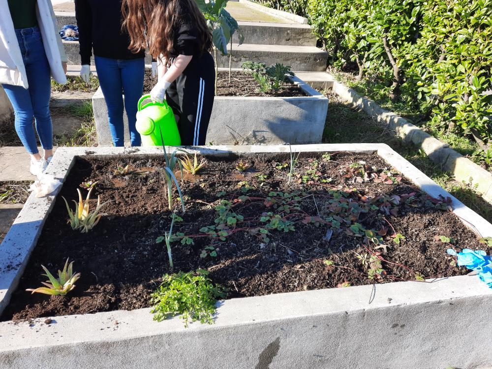 Rega da horta pelas alunas do Clube Eco-escolas.