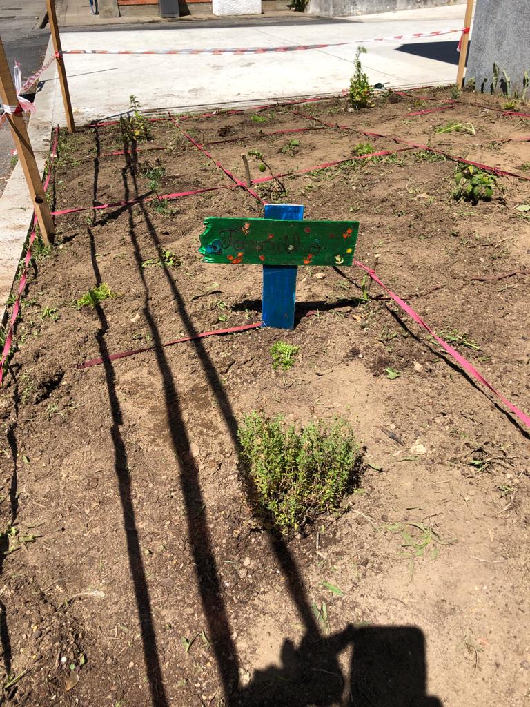 Sinalização de algumas plantas com sinalética construída com reutilização de materiais.