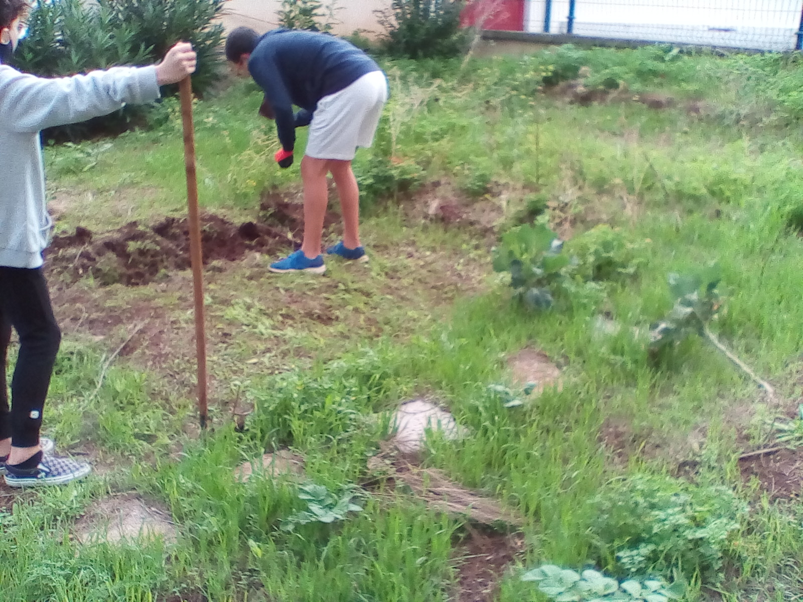 Preparando o terreno1