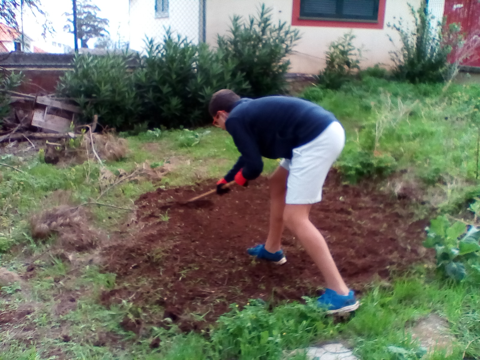 Preparando o terreno3