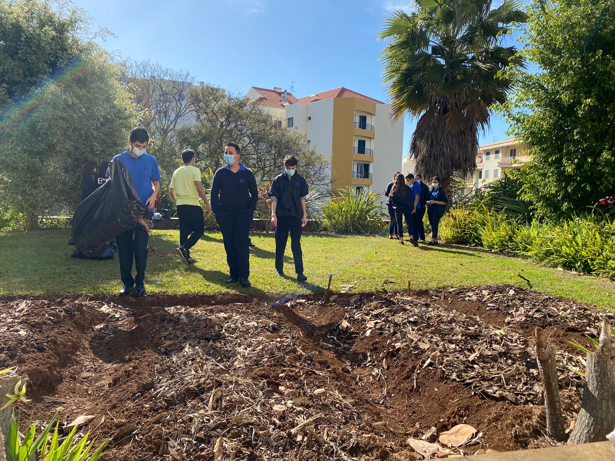 Terreno da horta