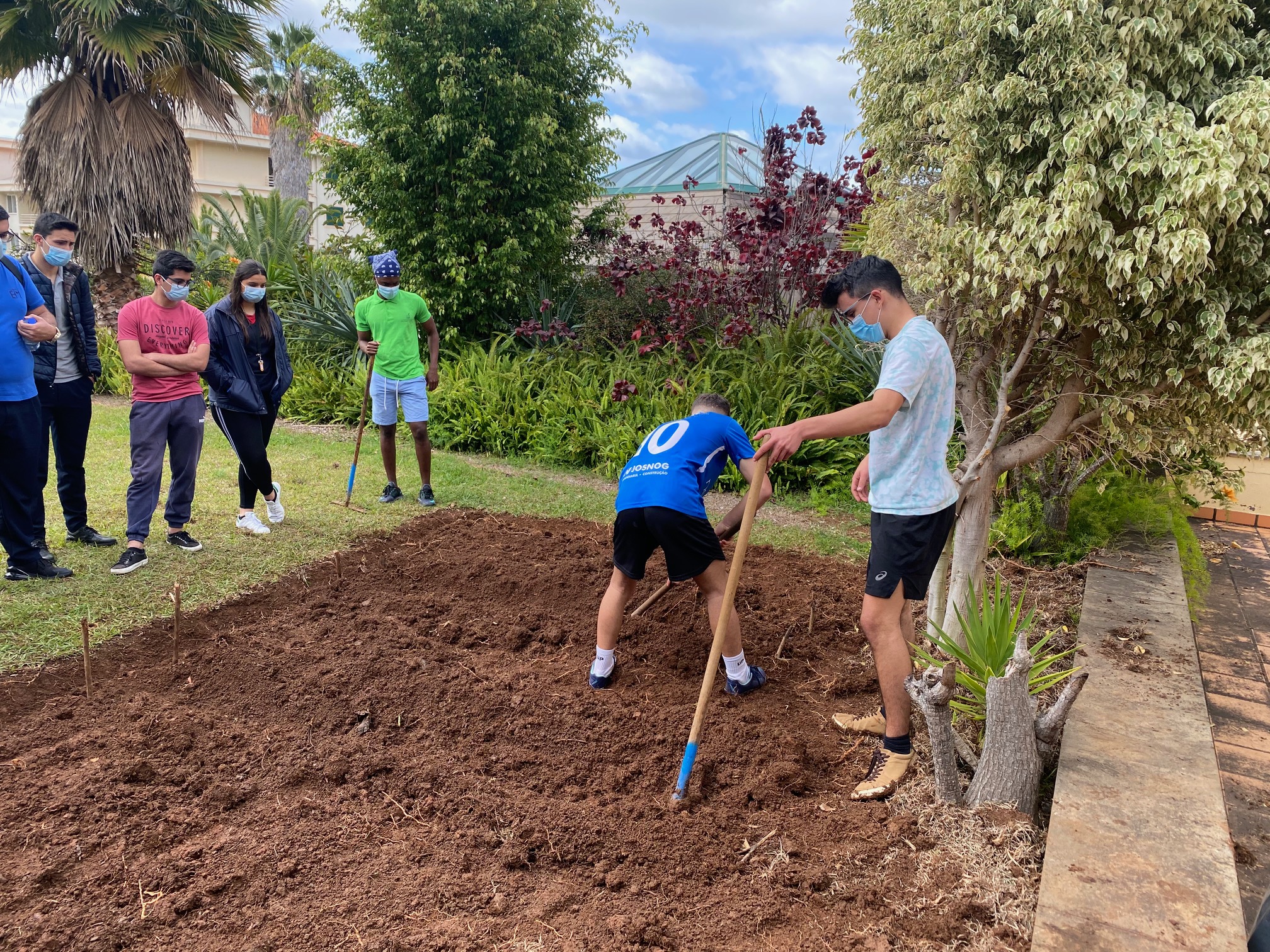 Preparação do terreno da horta