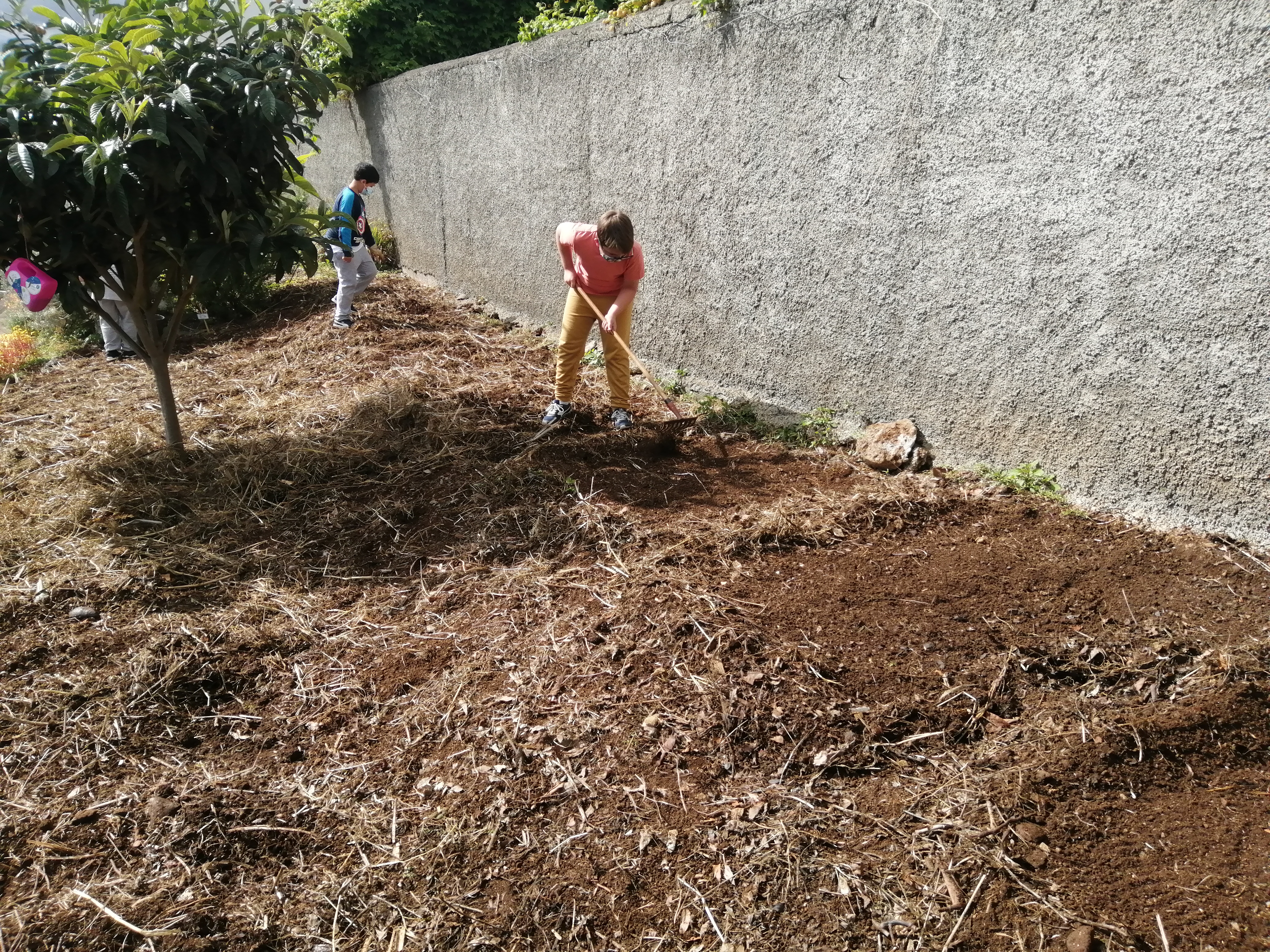 Preparar para cultivar os alimentos
