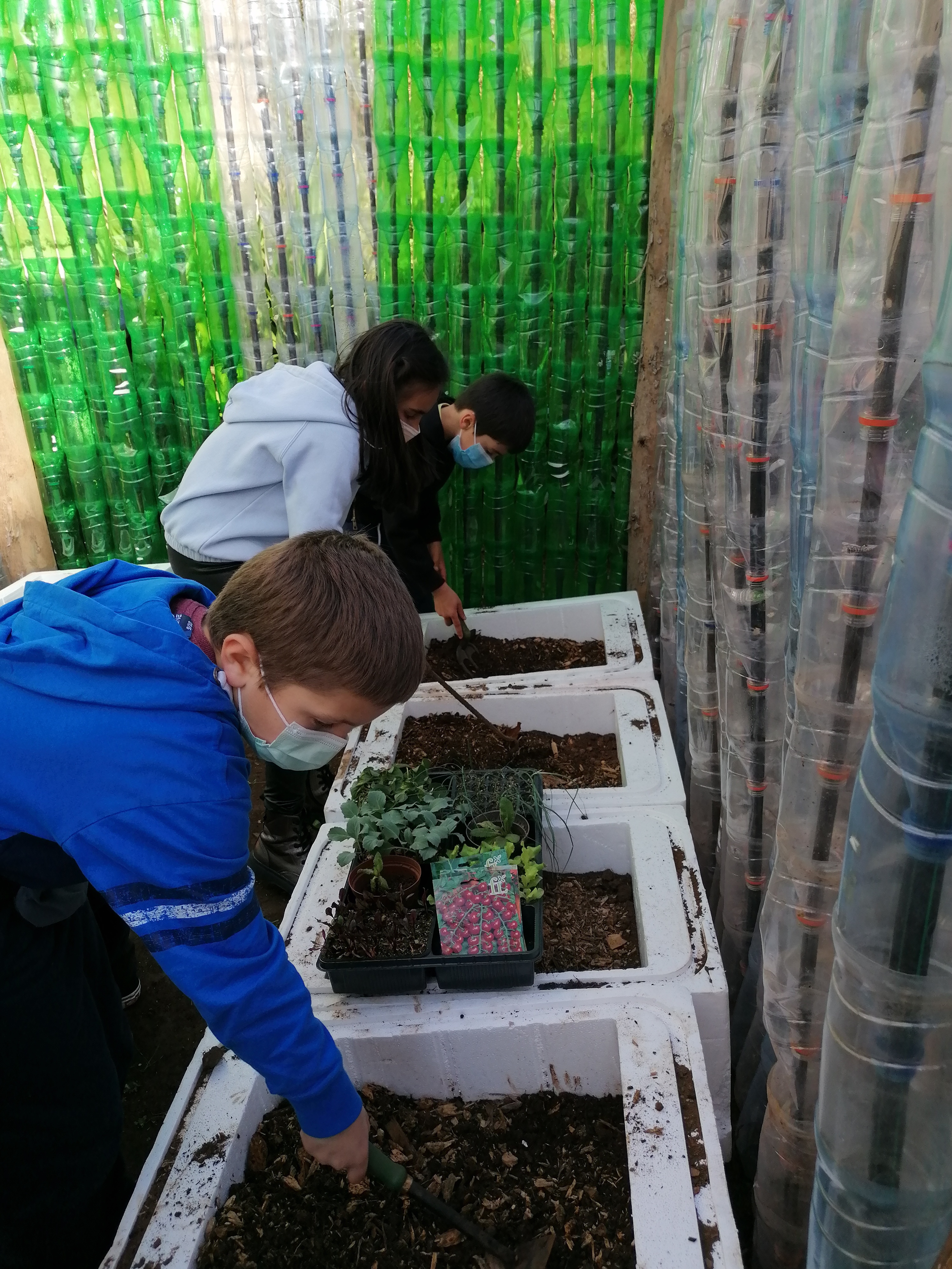 Preparação do terreno 

Numa segunda fase colocamos terra vegetal e fizemos a mistura das duas.