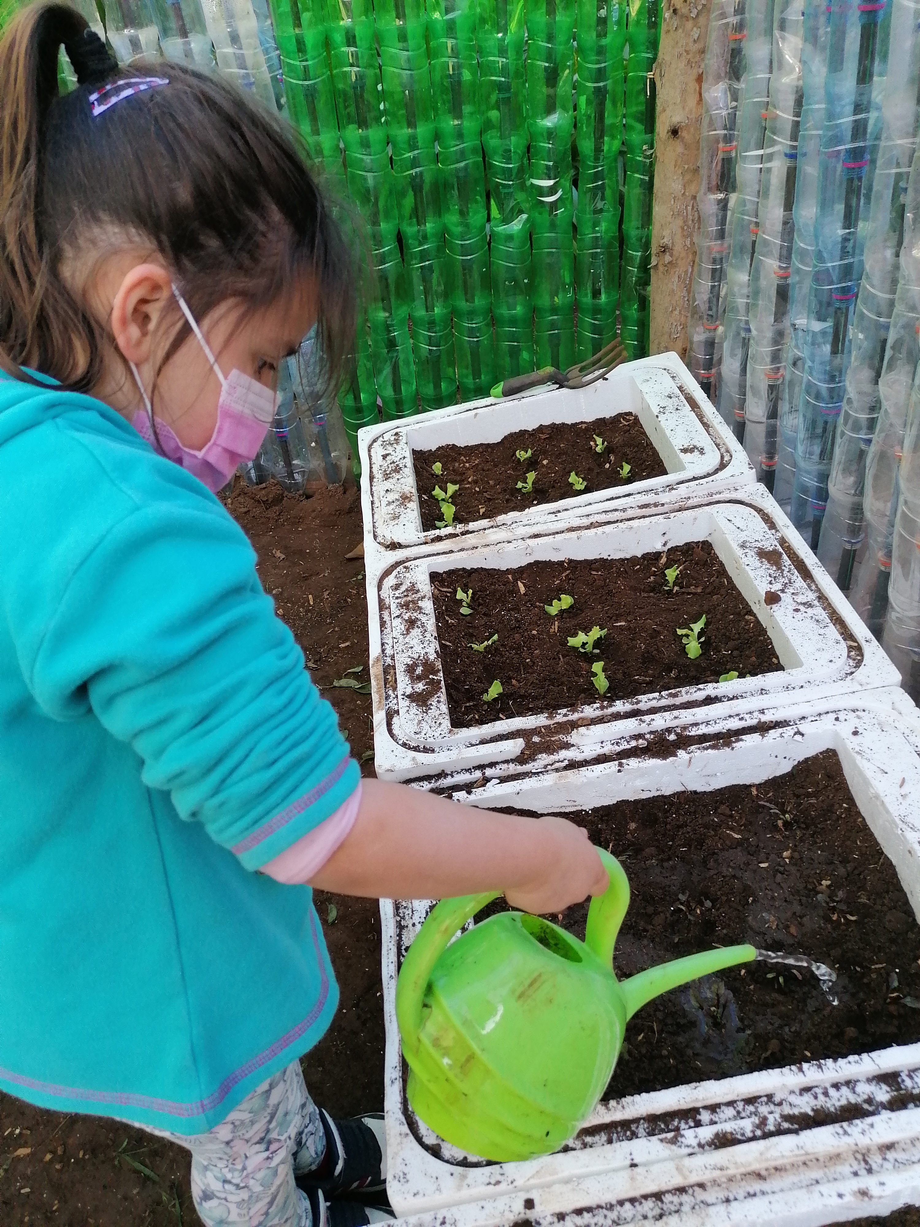Rega
Os alunos são responsáveis por regar as plantas durante a semana.