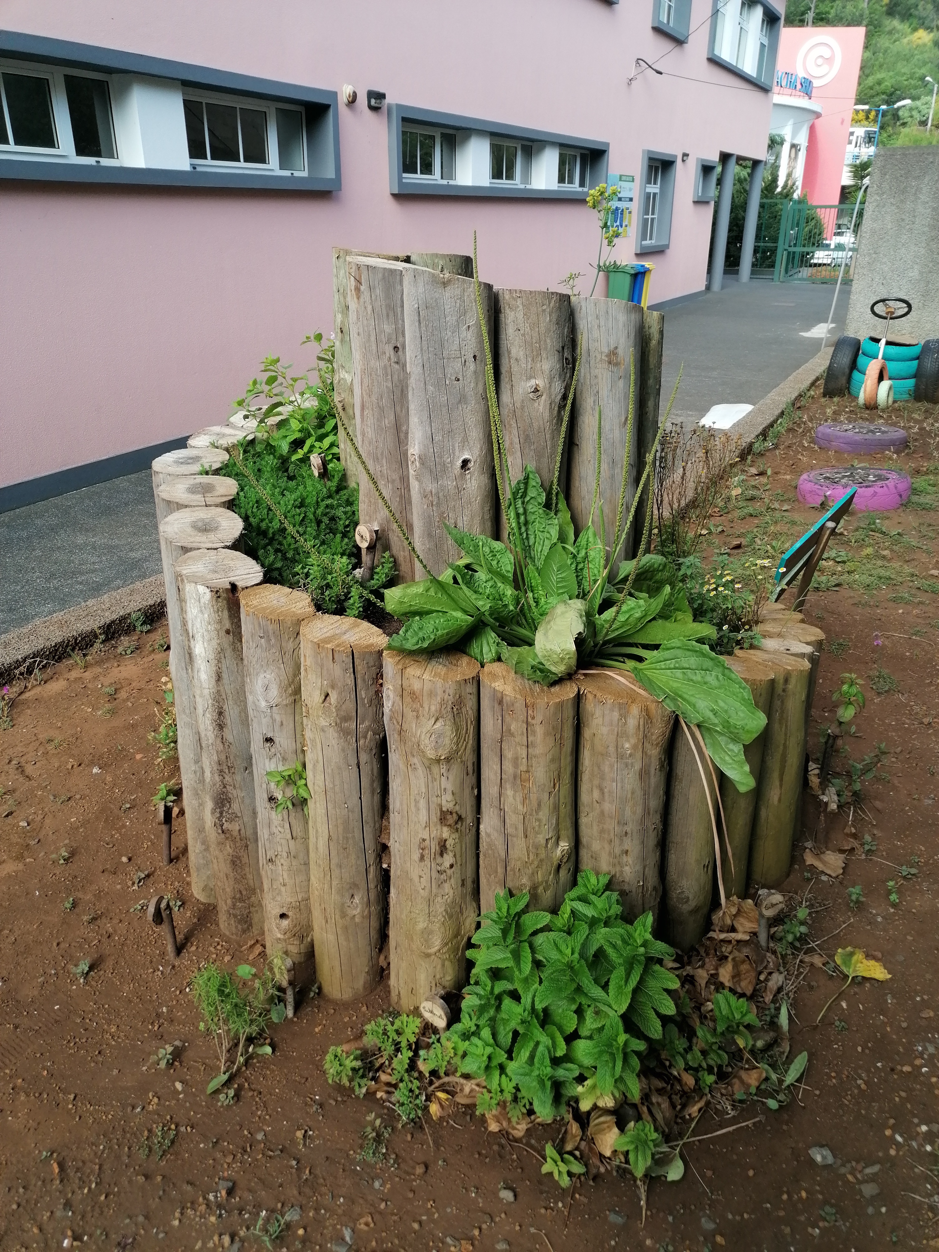 jardim das ervas aromáticas