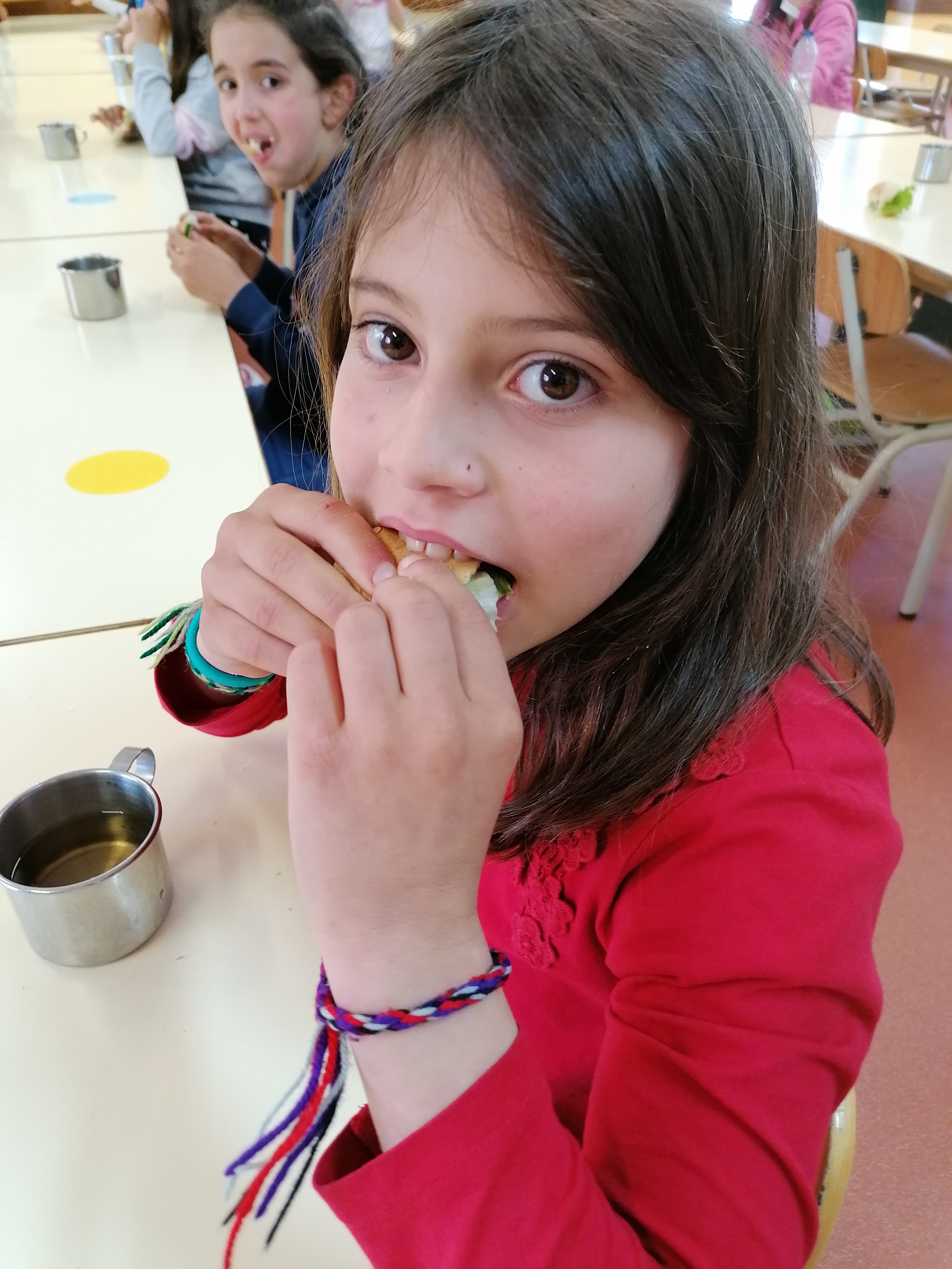 Lanche biológico