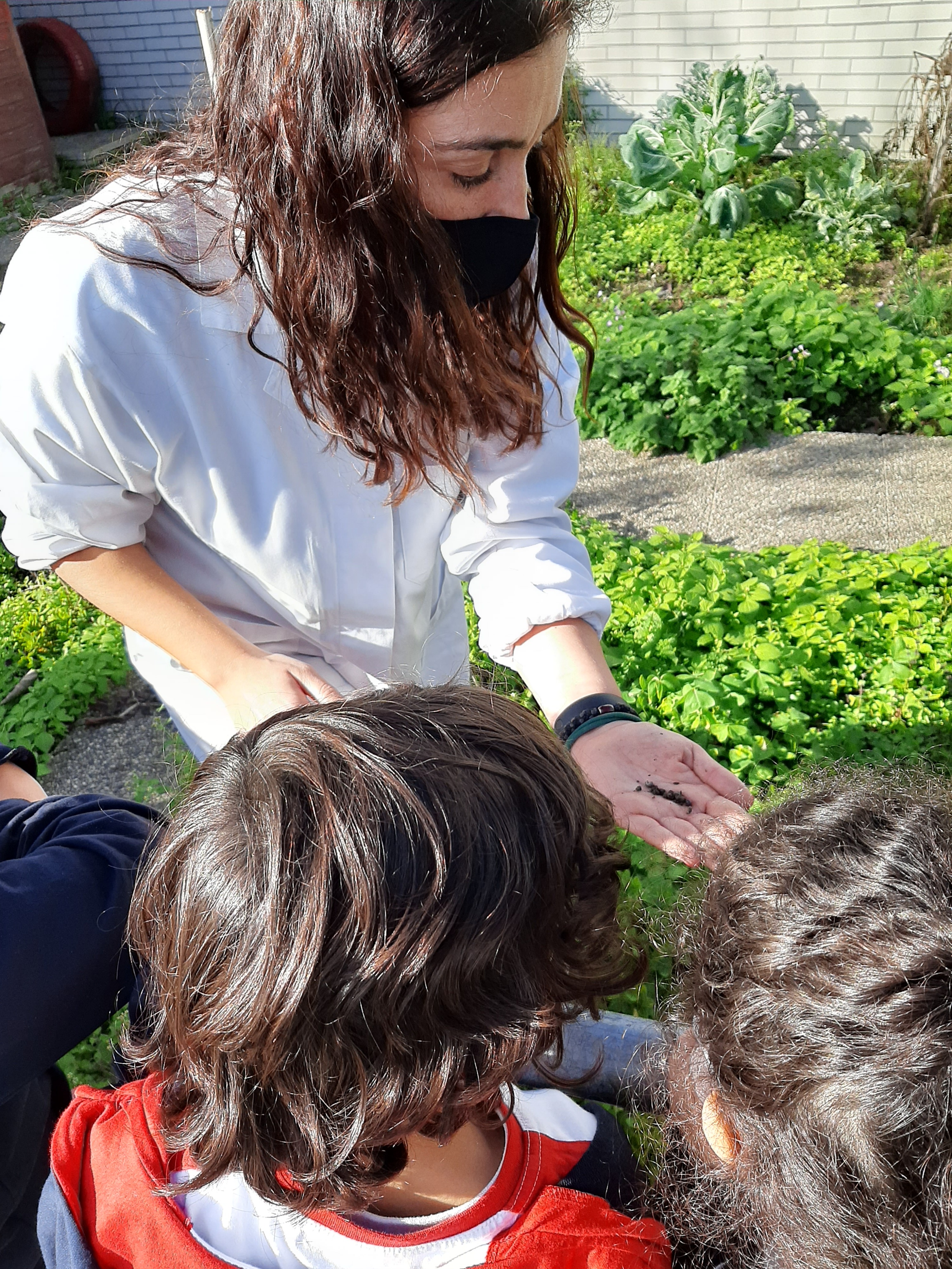 Alunos do 1.º ano a conhecer a biodiversidade da horta e a iniciar as plantações