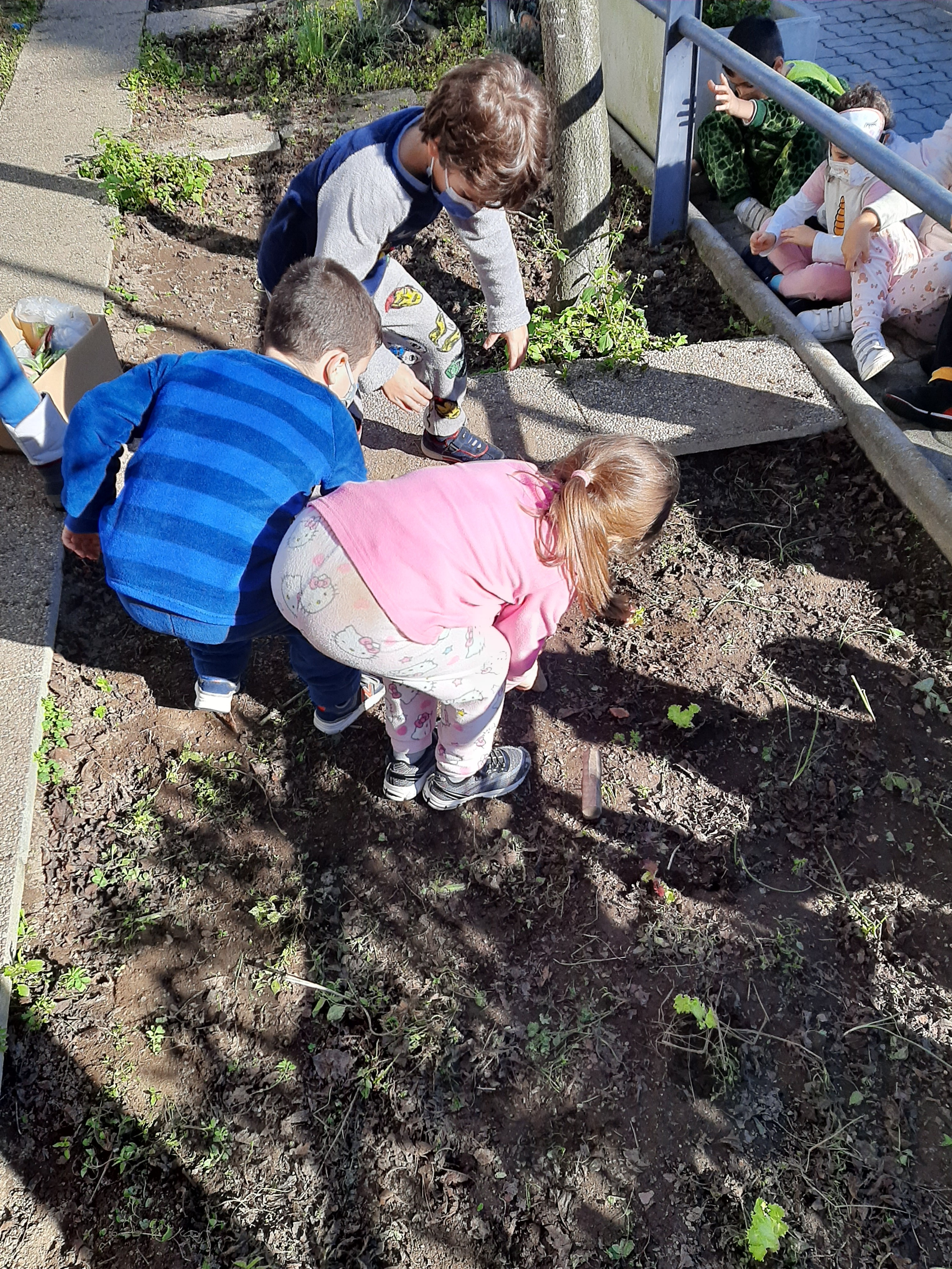 Alunos do 1.º ano a conhecer a biodiversidade da horta e a iniciar as plantações