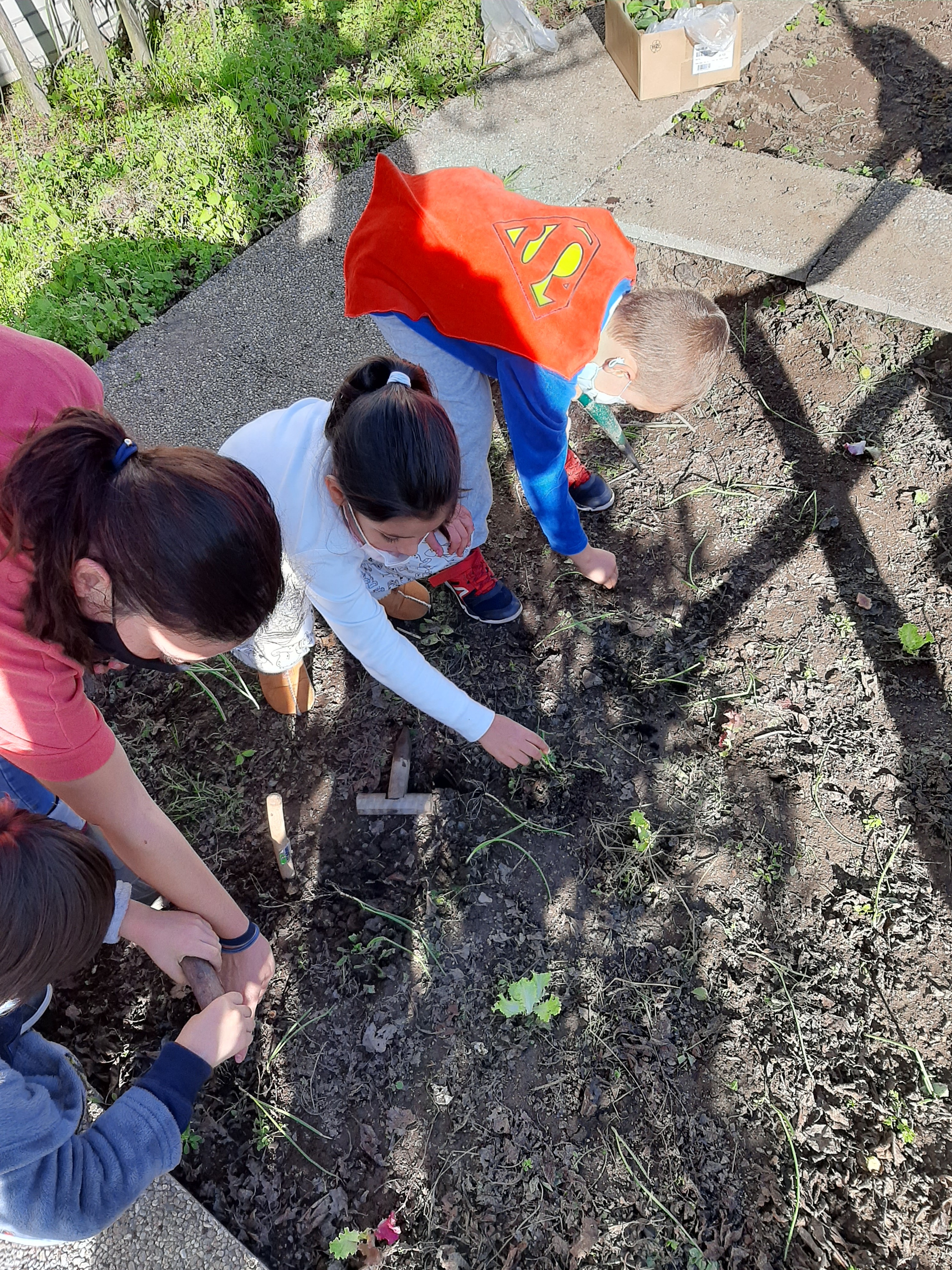 Alunos do 1.º ano a conhecer a biodiversidade da horta e a iniciar as plantações