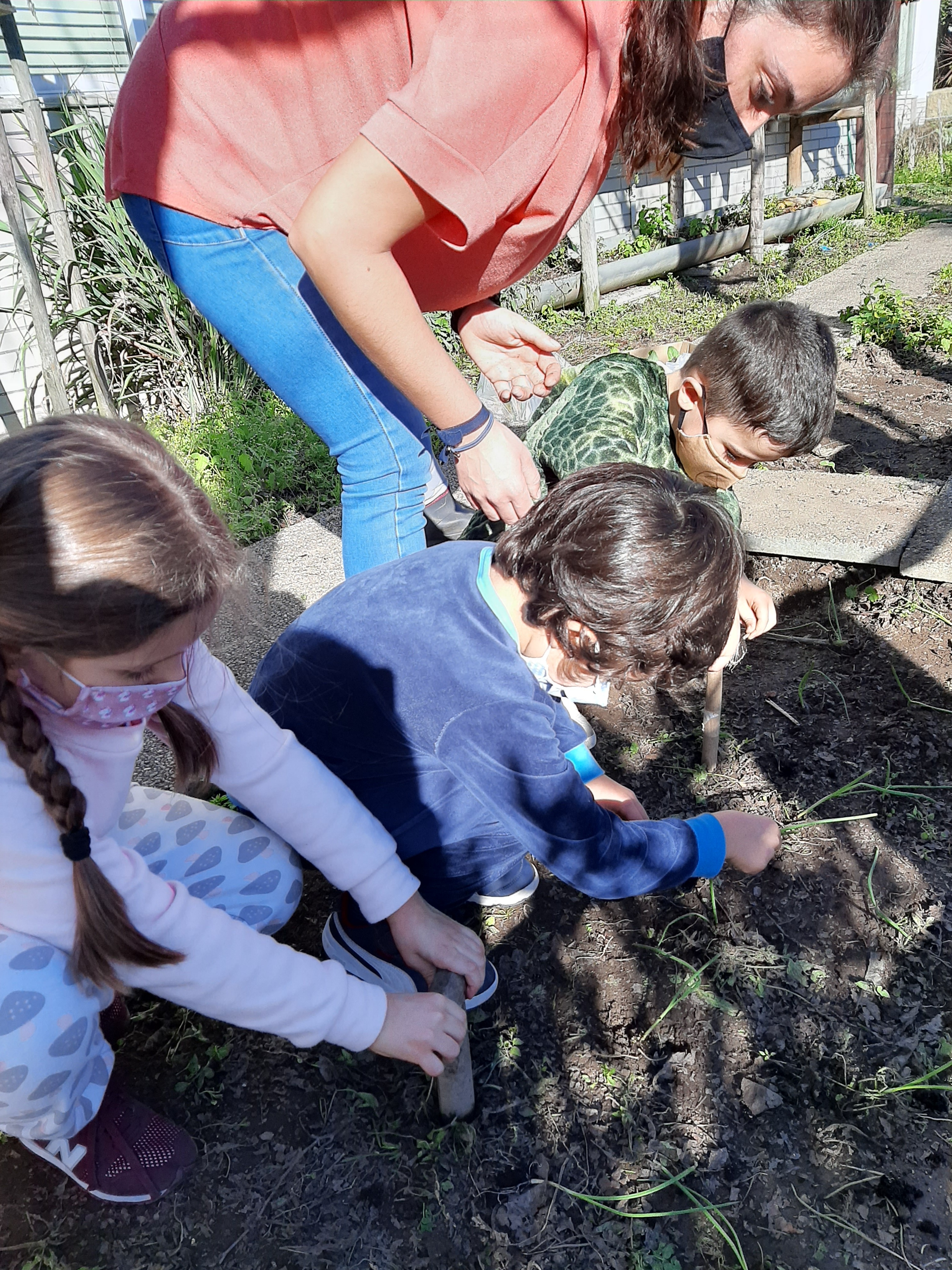 Alunos do 1.º ano a conhecer a biodiversidade da horta e a iniciar as plantações