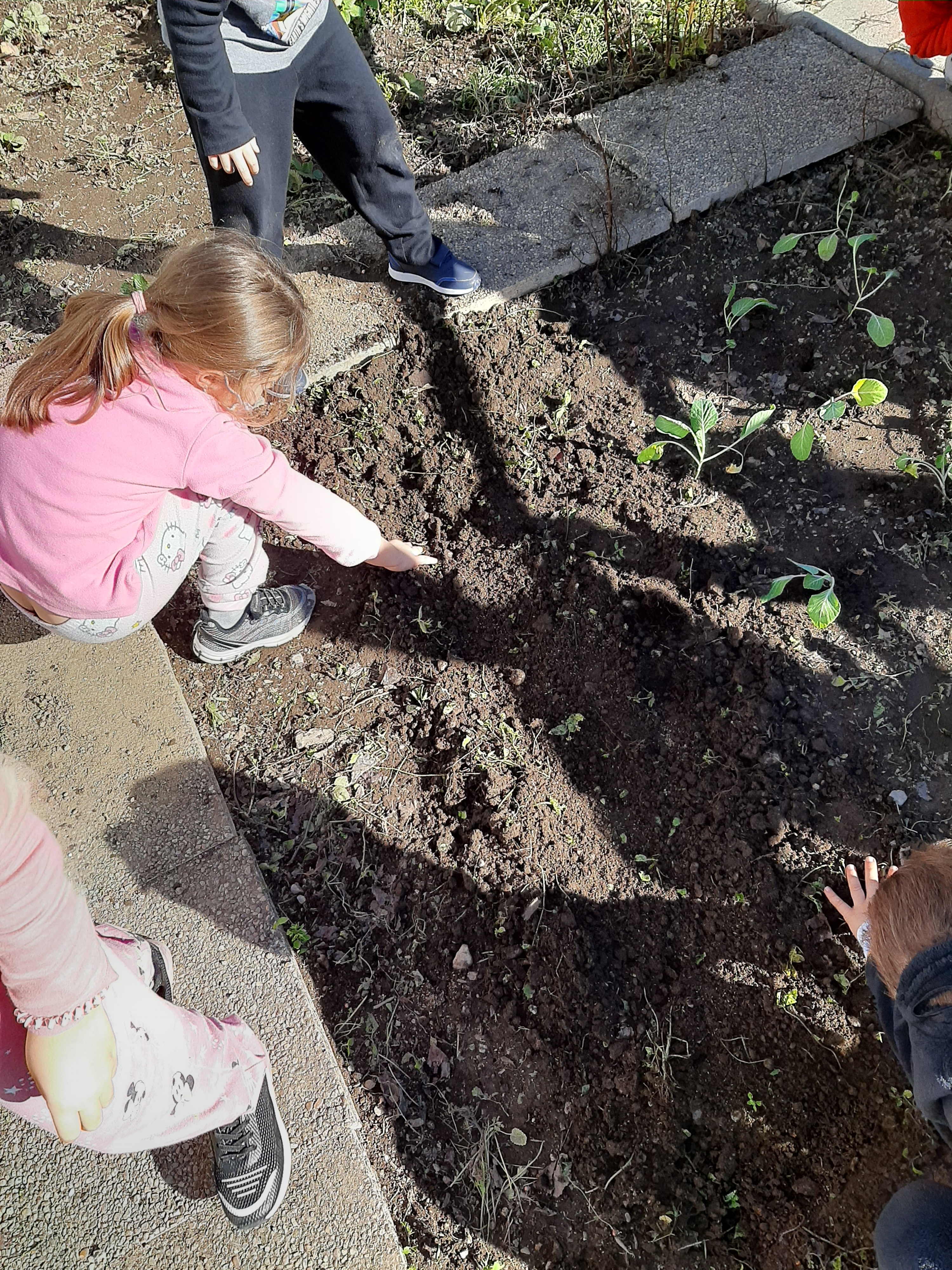 Alunos do 1.º ano a conhecer a biodiversidade da horta e a iniciar as plantações