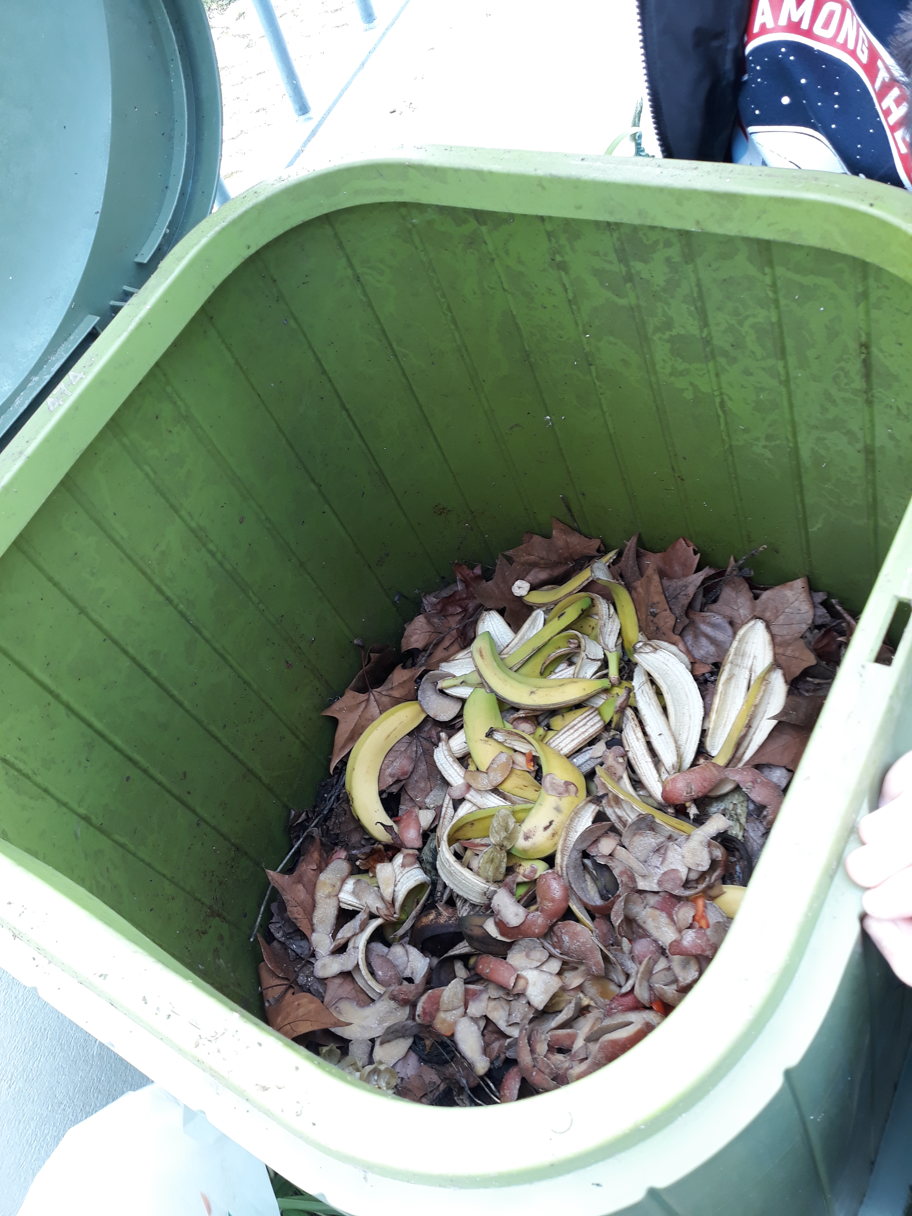 Compostor.