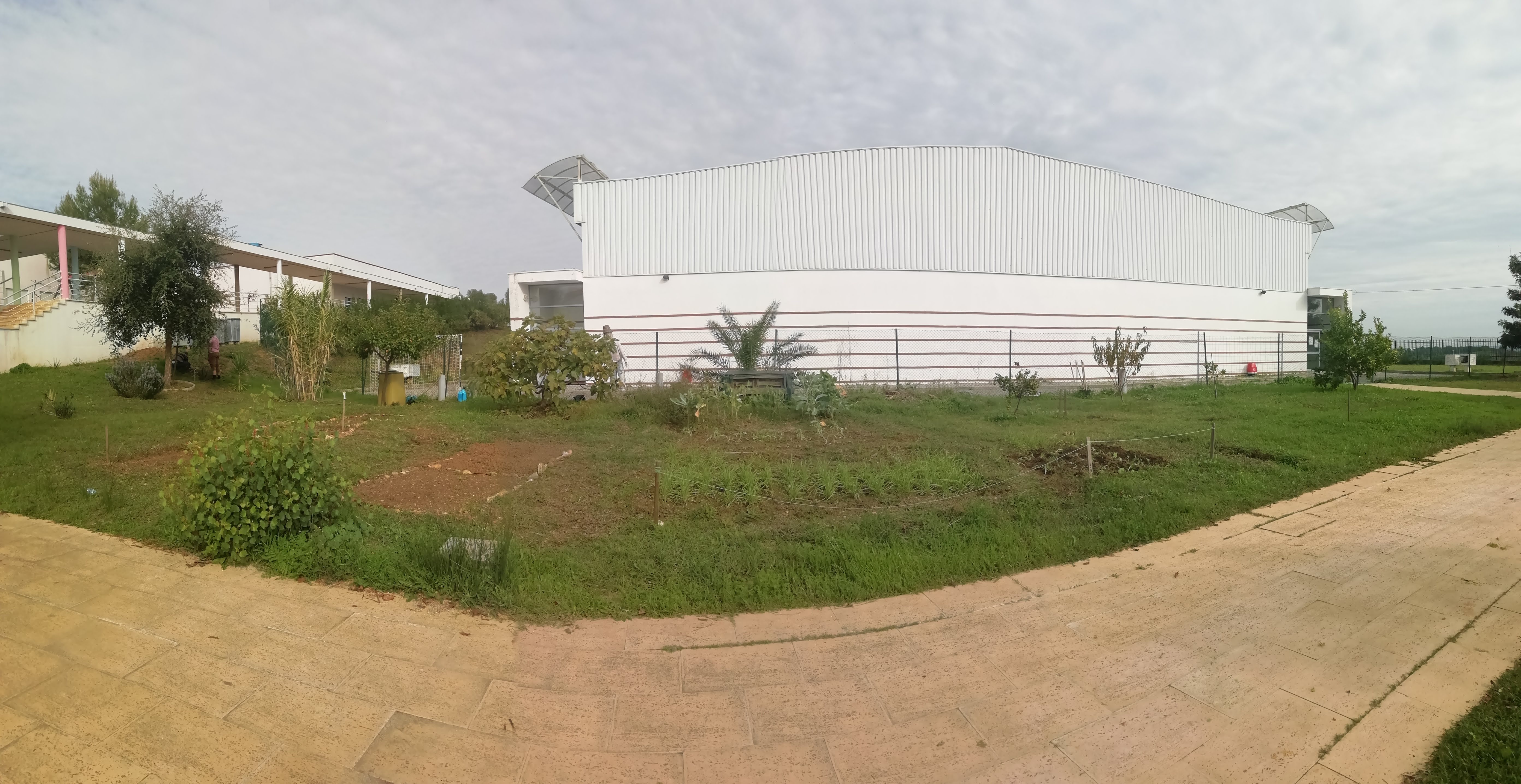Uma panorâmica da nossa horta biológica, com talhões preparados para receber coentros, salsa ,alhos, favas, couves, morangos e alface.