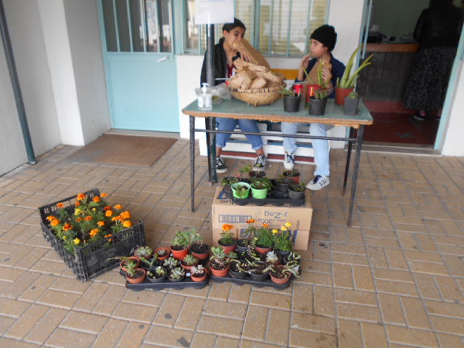 Nos meses janeiro a março, estado os alnos em casa, na escola construiu-se  um compositor e começou-se um processo de compostagem envolvendo a comunidade escolar
Plantou-se tomates, alfaces, e batata doce e fez-se a segunda feirinha da horta