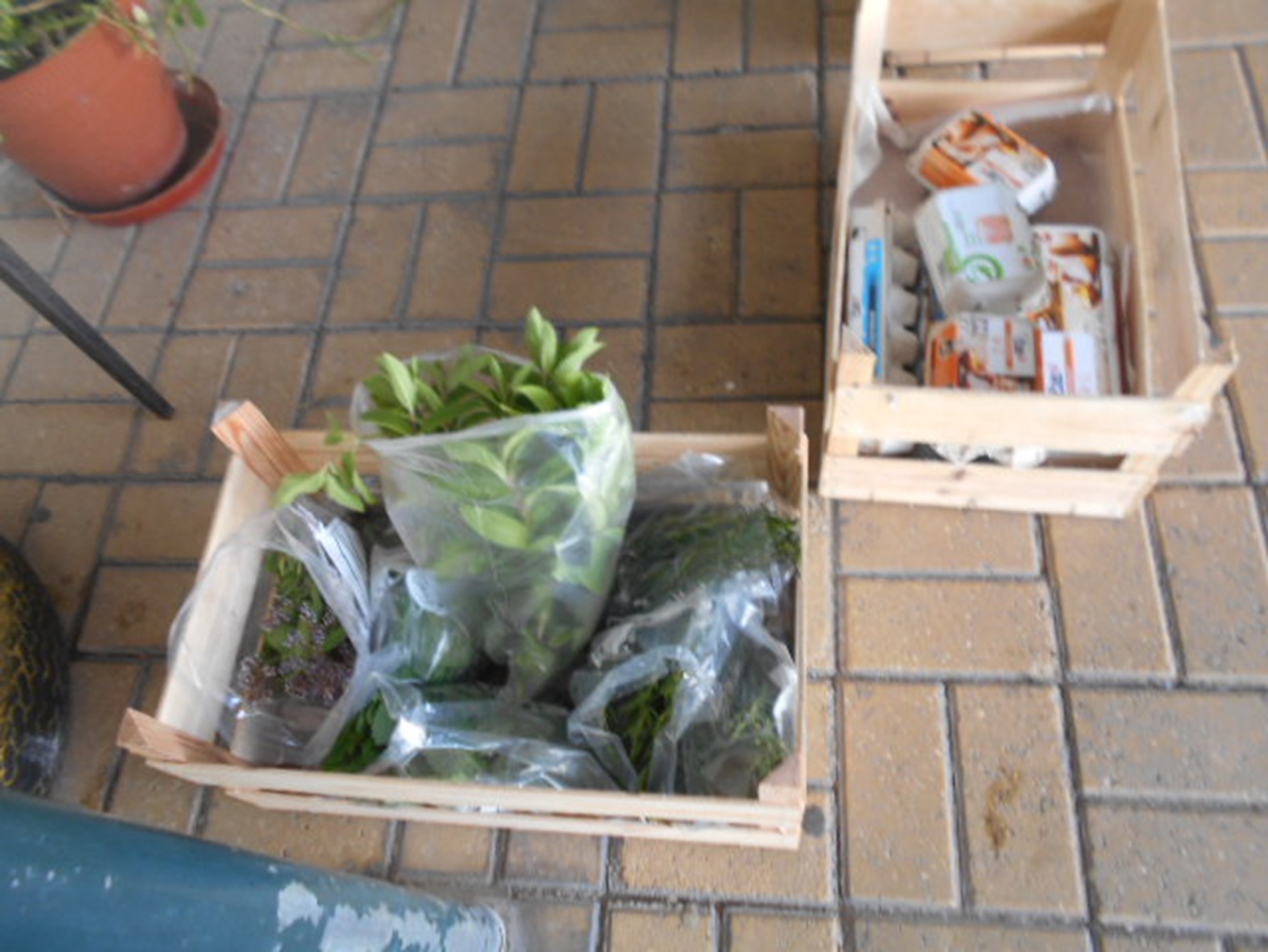 Nos meses janeiro a março, estado os alnos em casa, na escola construiu-se  um compositor e começou-se um processo de compostagem envolvendo a comunidade escolar
Plantou-se tomates, alfaces, e batata doce e fez-se a segunda feirinha da horta