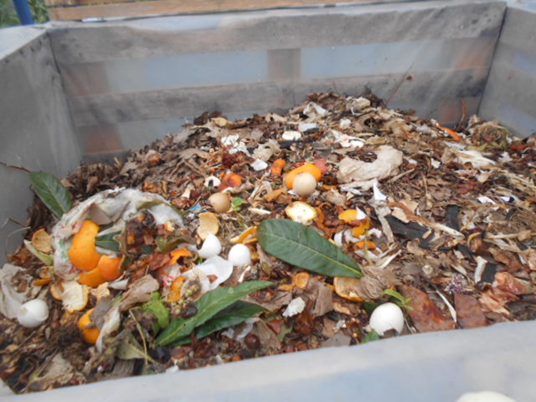 Nos meses janeiro a março, estado os alnos em casa, na escola construiu-se  um compositor e começou-se um processo de compostagem envolvendo a comunidade escolar
Plantou-se tomates, alfaces, e batata doce e fez-se a segunda feirinha da horta