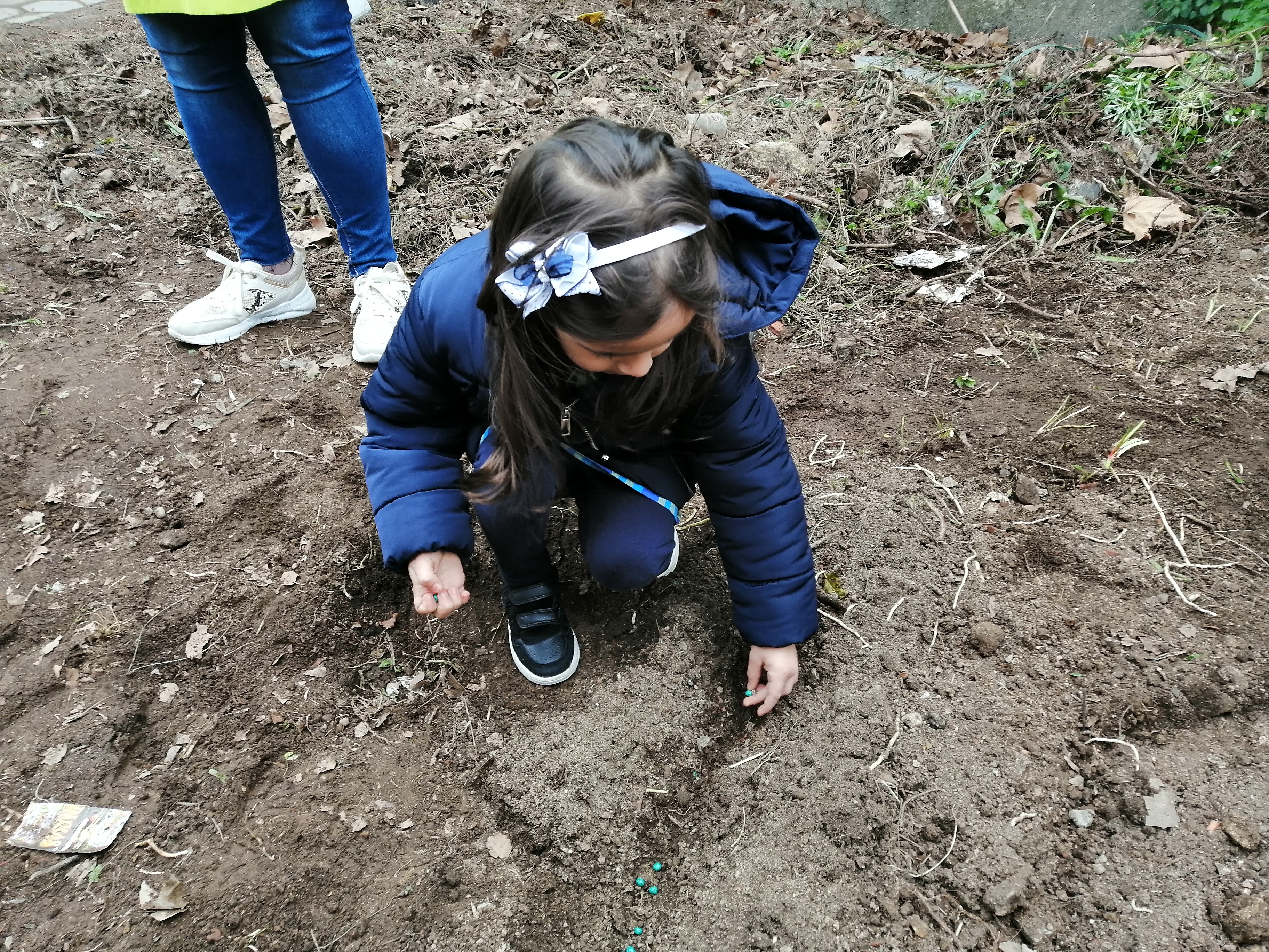 Os alunos plantaram ervilhas.