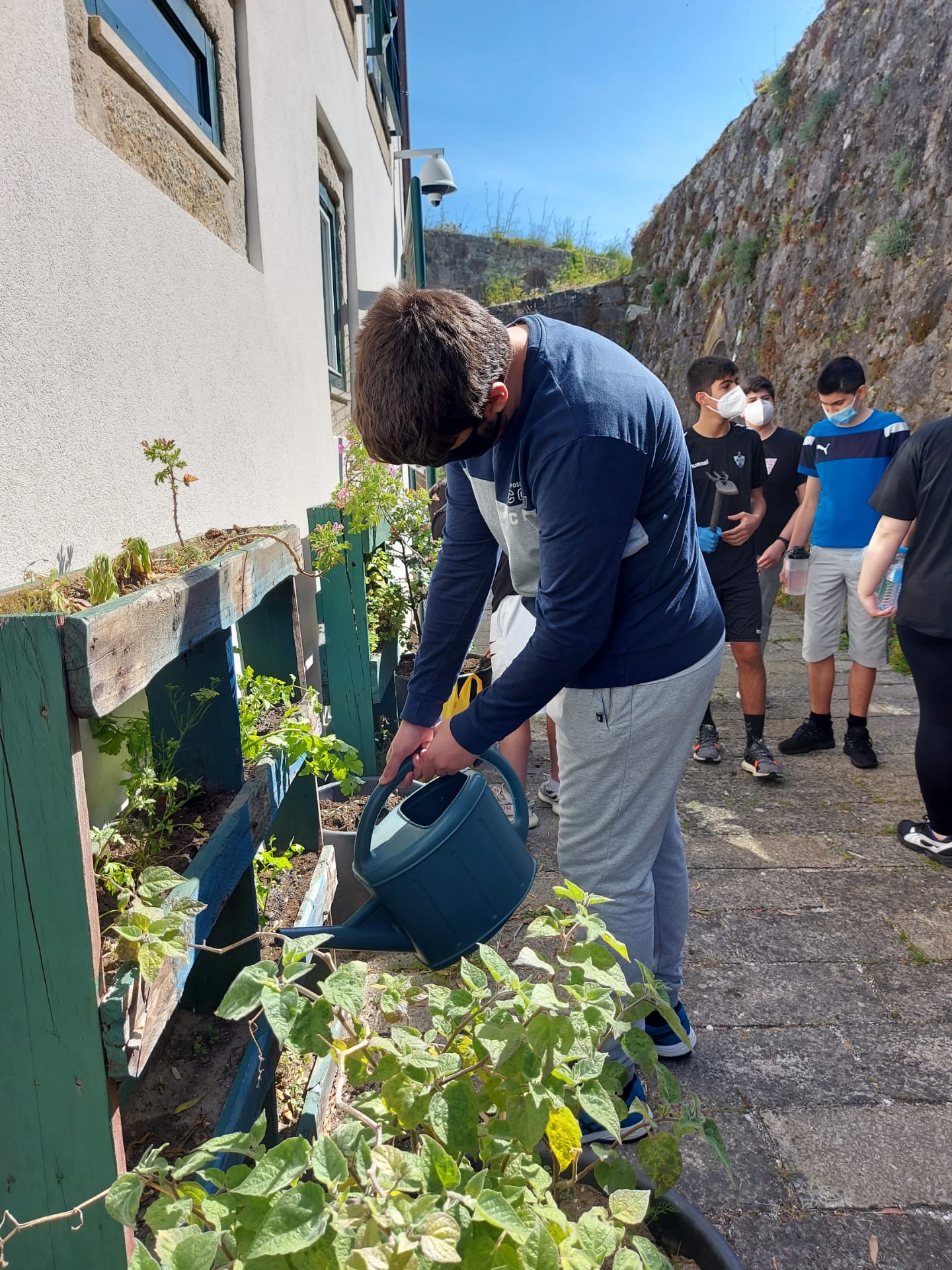 manutenção da horta pelos alunos