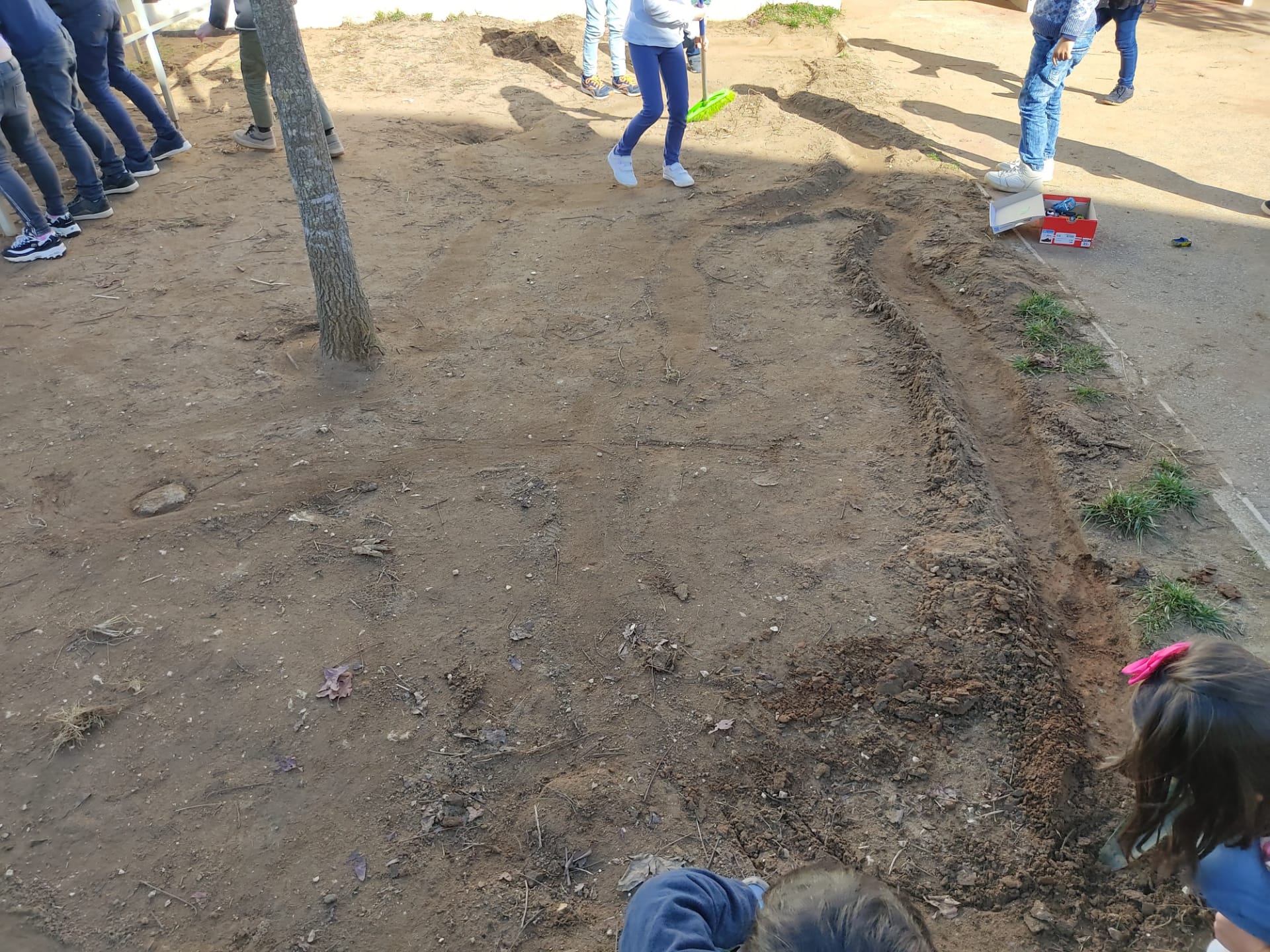 Preparação do terreno
