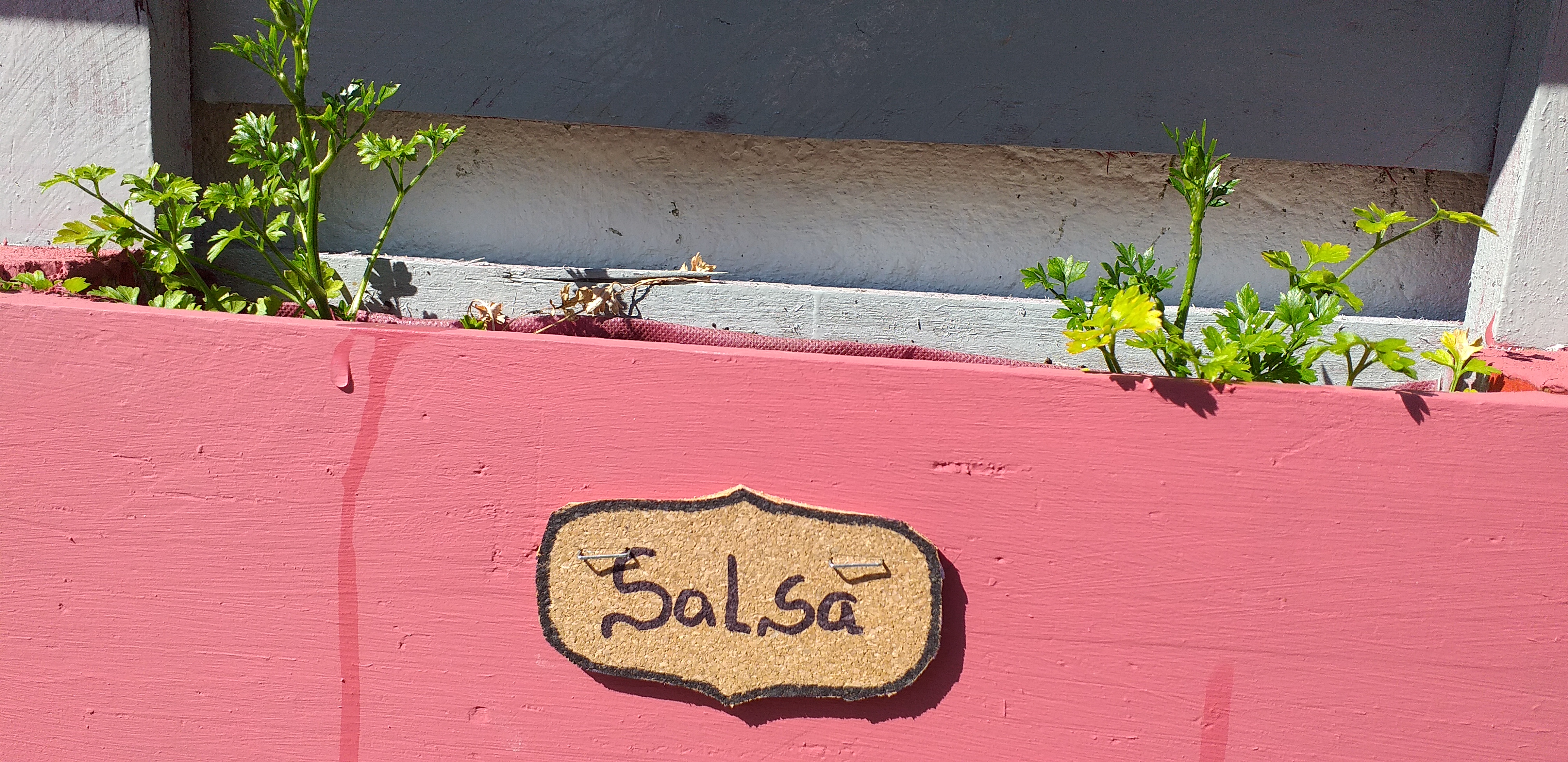 Salsa