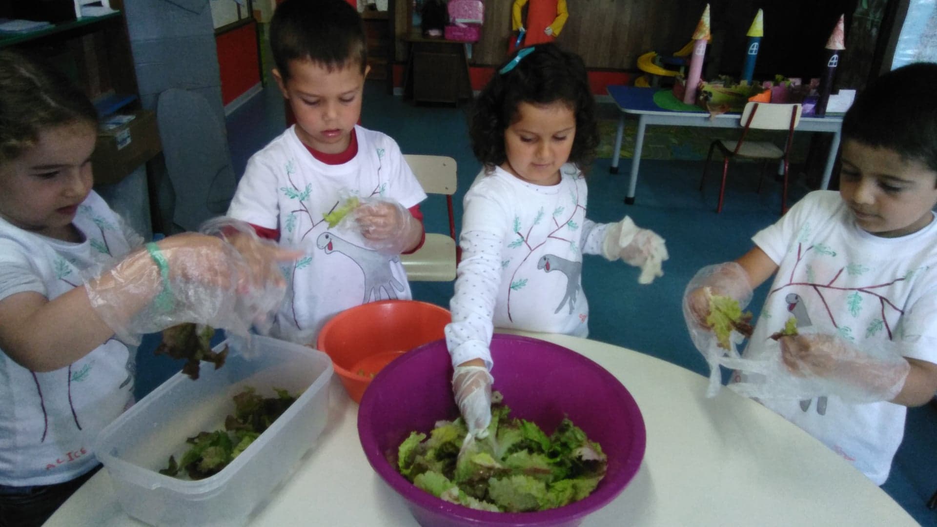 Continuação da preparação das alfaces.
Todos contribuem para a preparação da salada do almoço, com supervisão da educadora de infância.